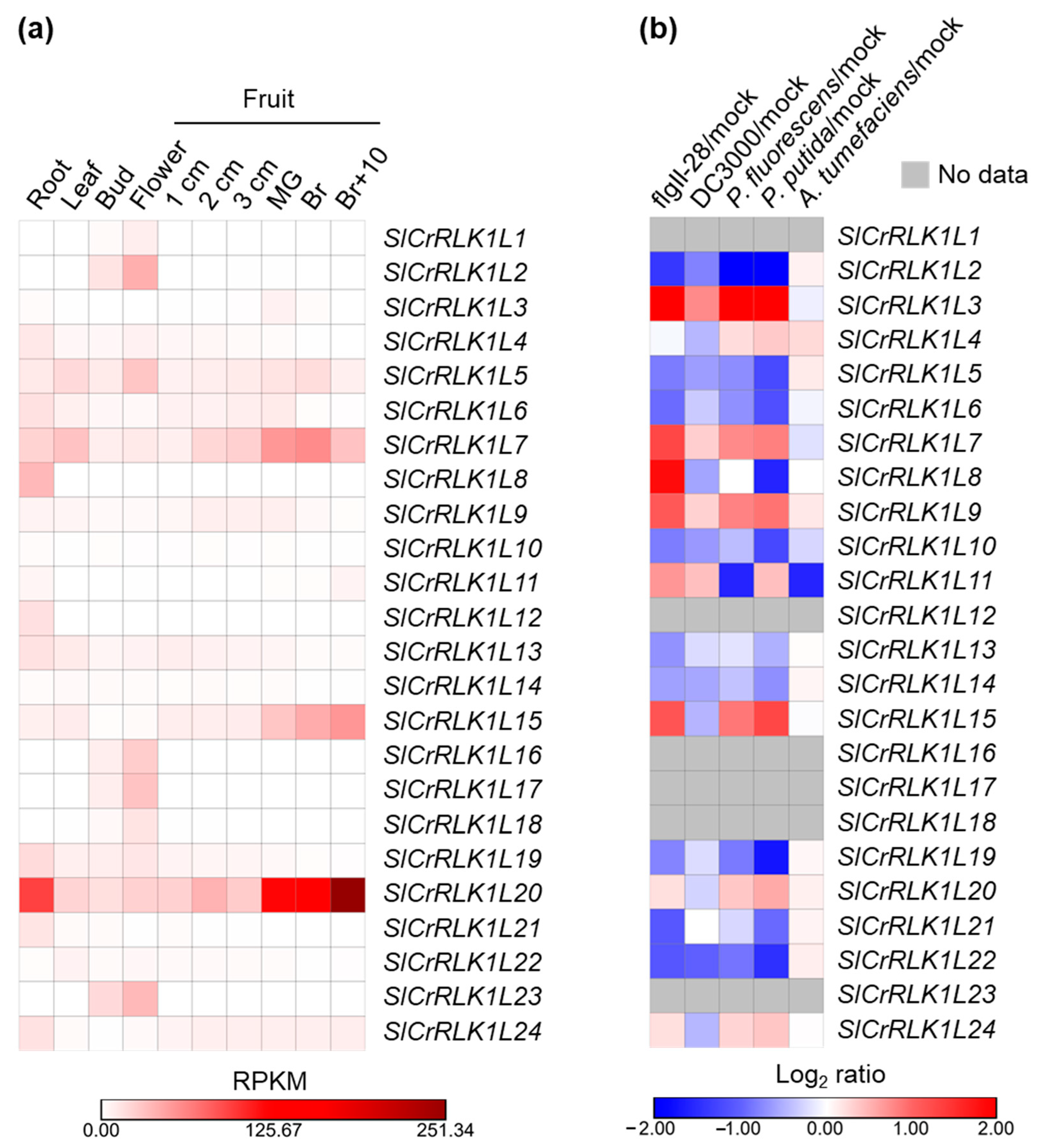 Ijms 24 03142 g007 Ijms 24 03142 g007