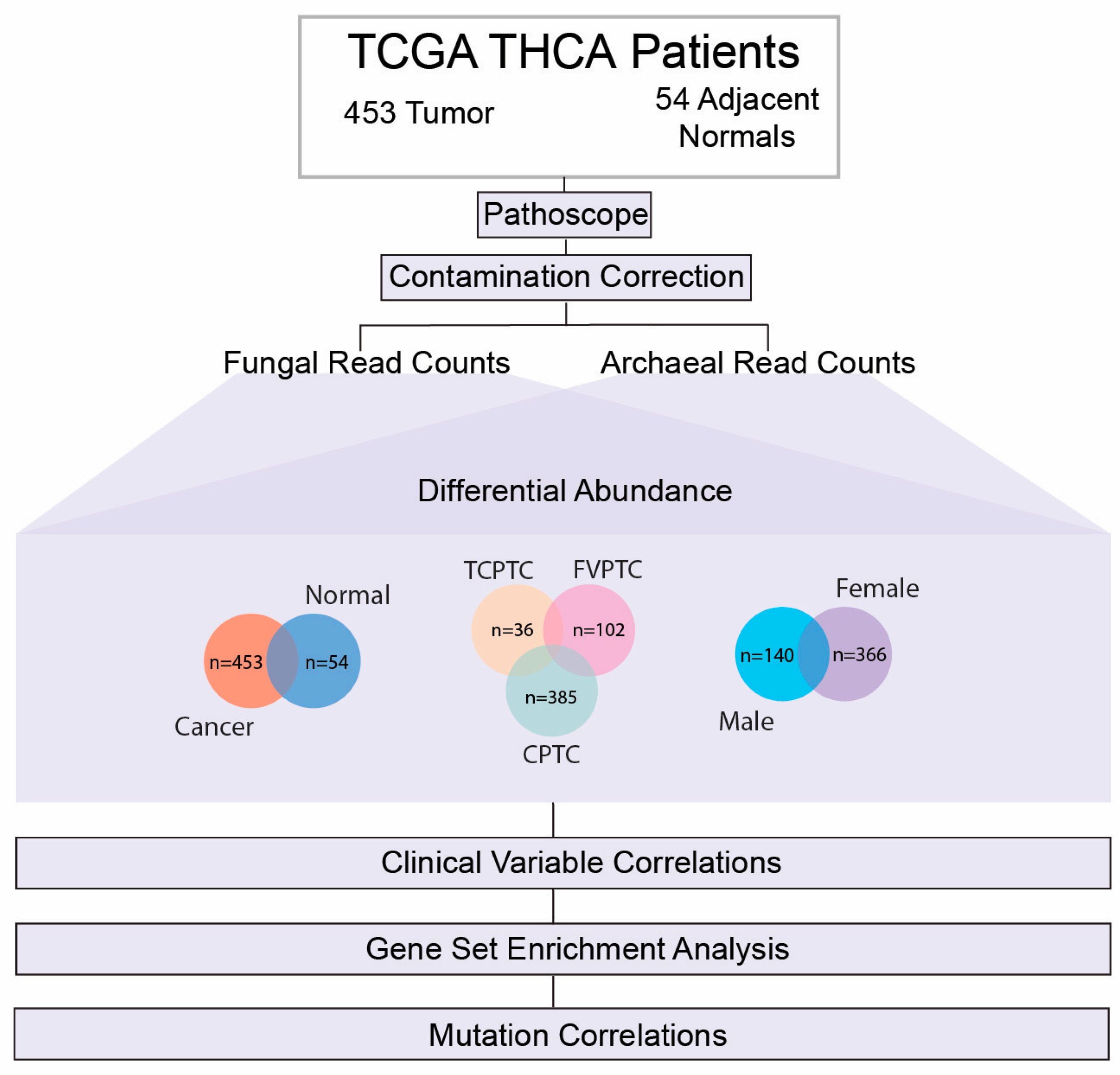 Ijms 24 03148 g001 Ijms 24 03148 g001