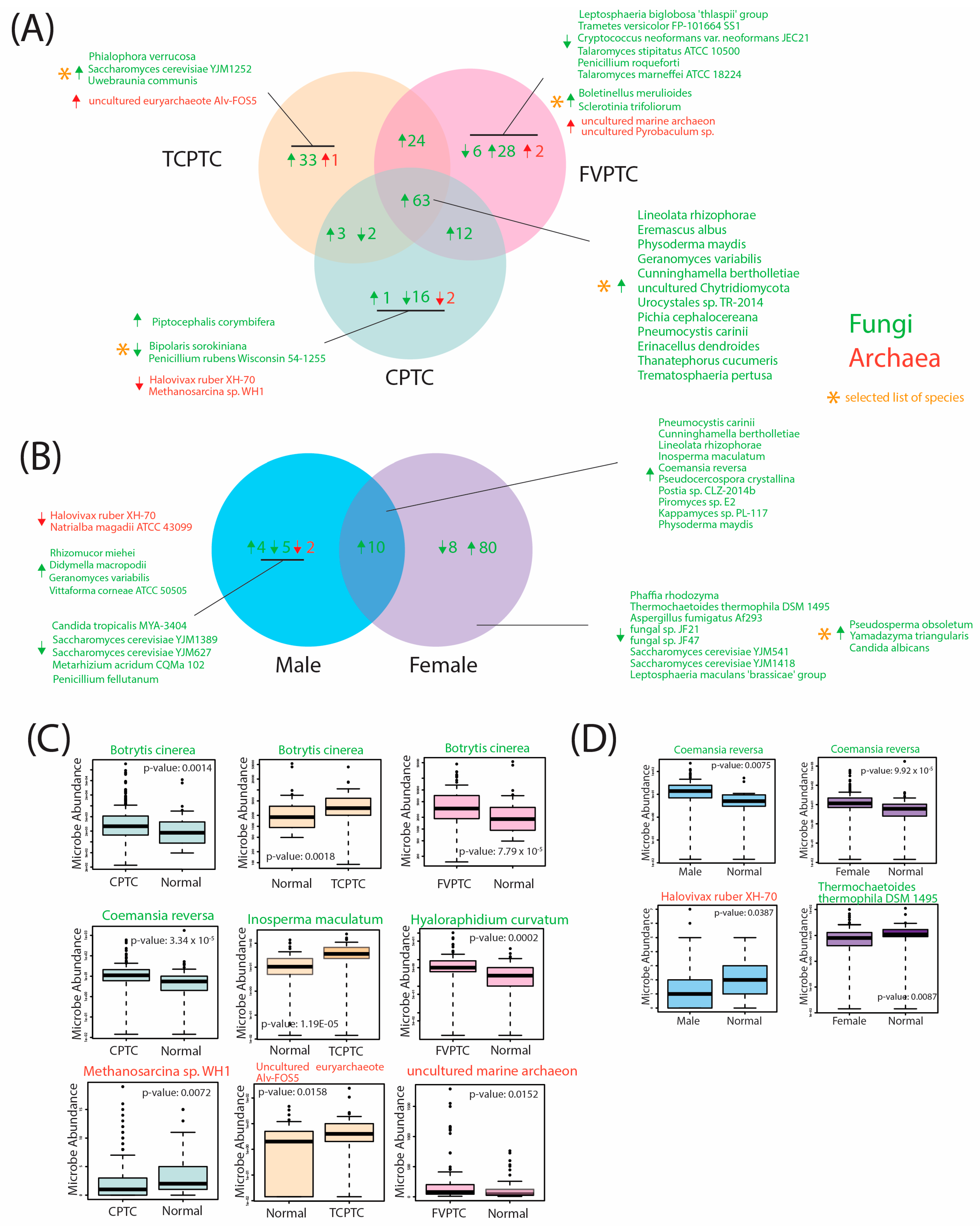 Ijms 24 03148 g003 Ijms 24 03148 g003