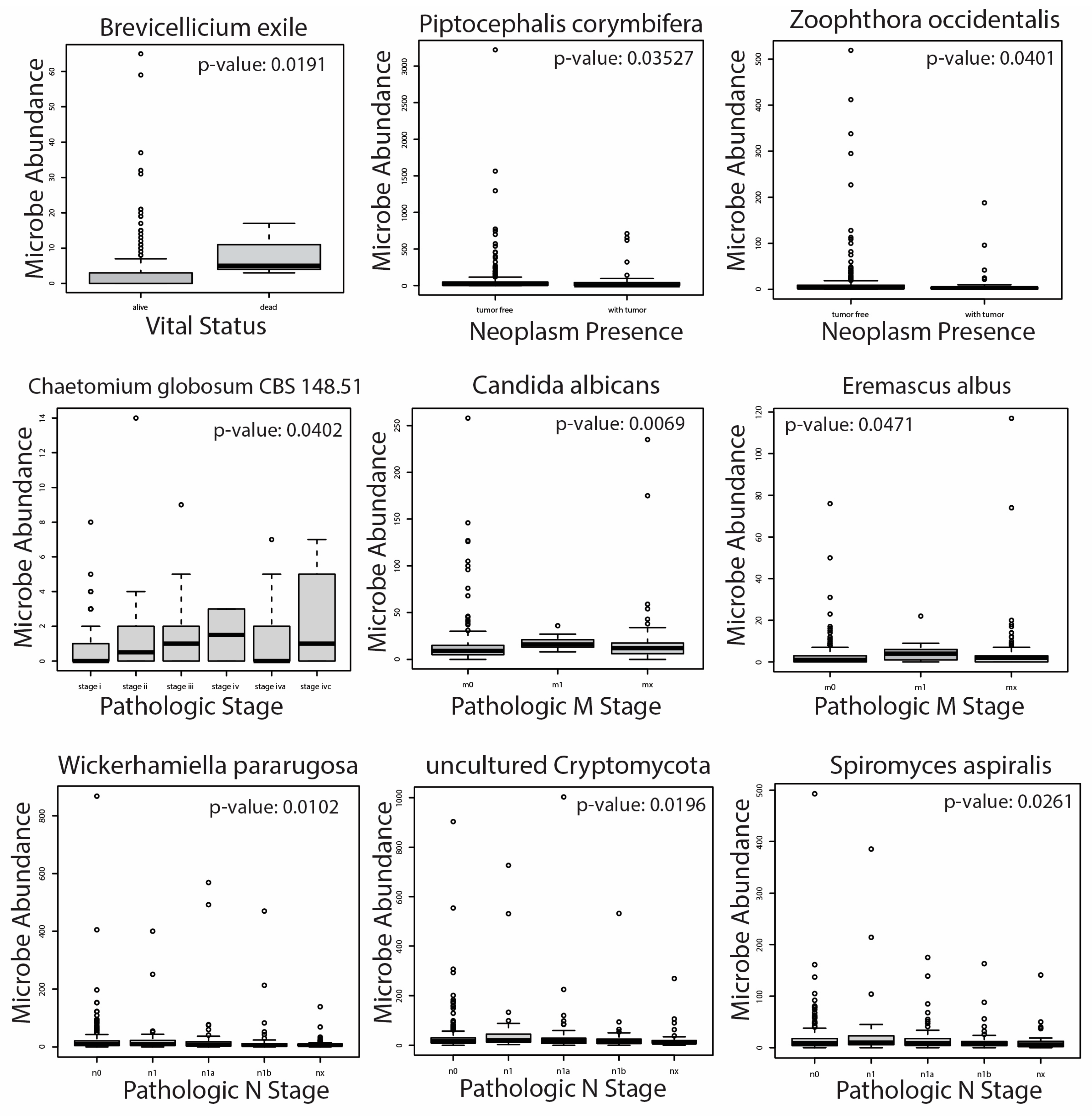 Ijms 24 03148 g004 Ijms 24 03148 g004