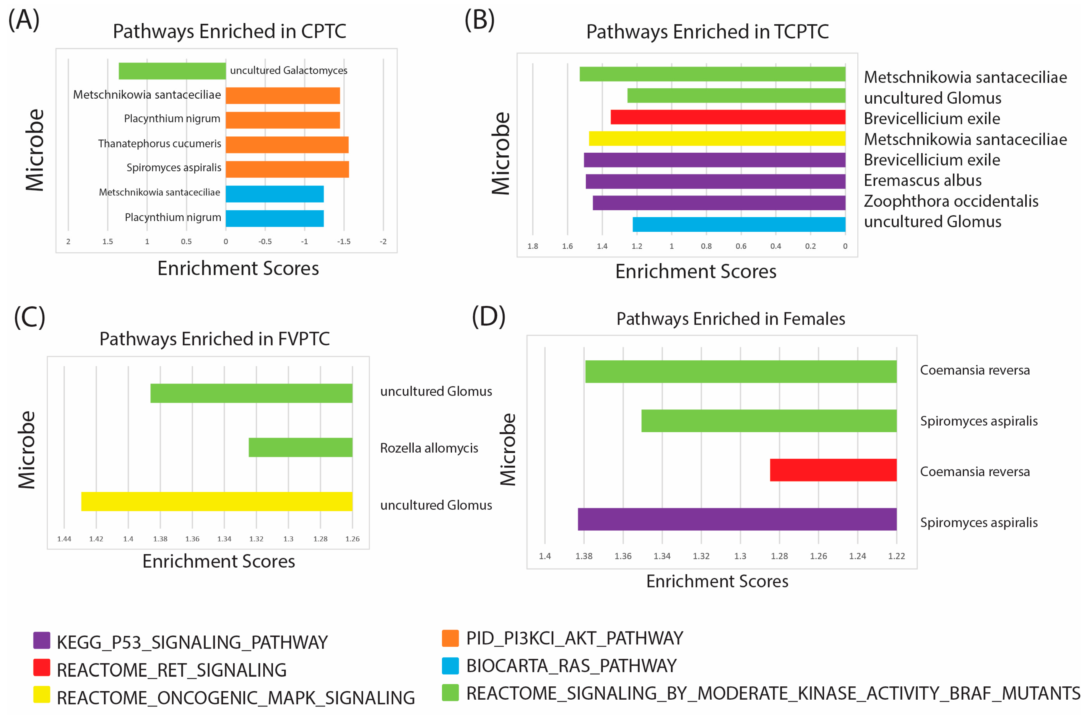 Ijms 24 03148 g005 Ijms 24 03148 g005