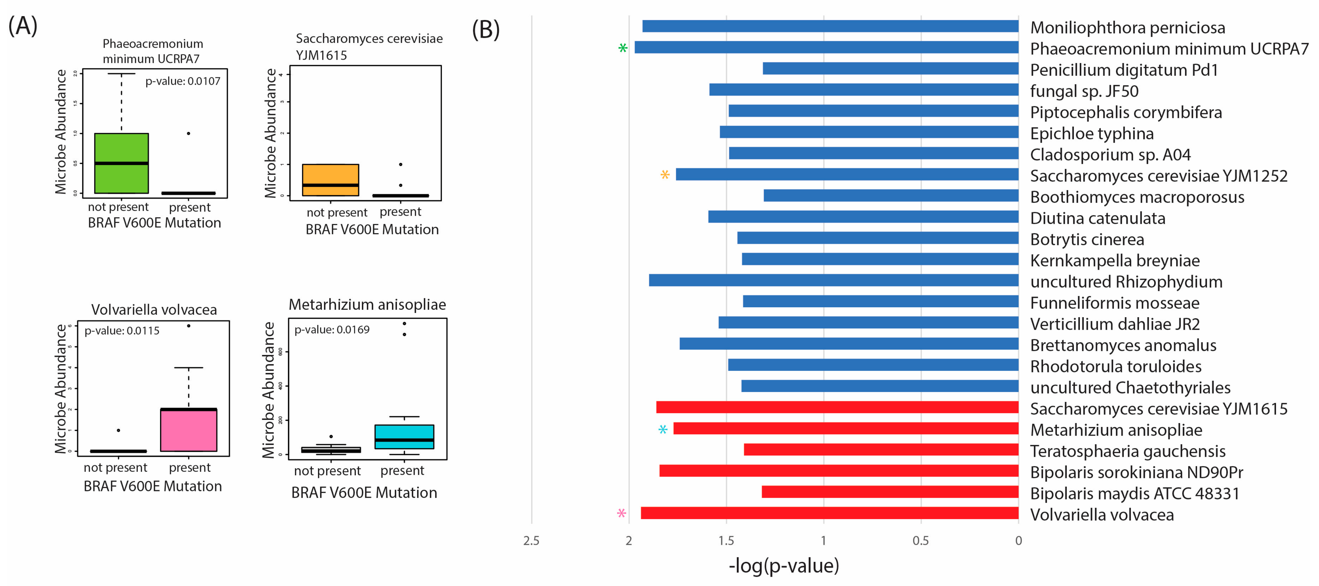 Ijms 24 03148 g006 Ijms 24 03148 g006