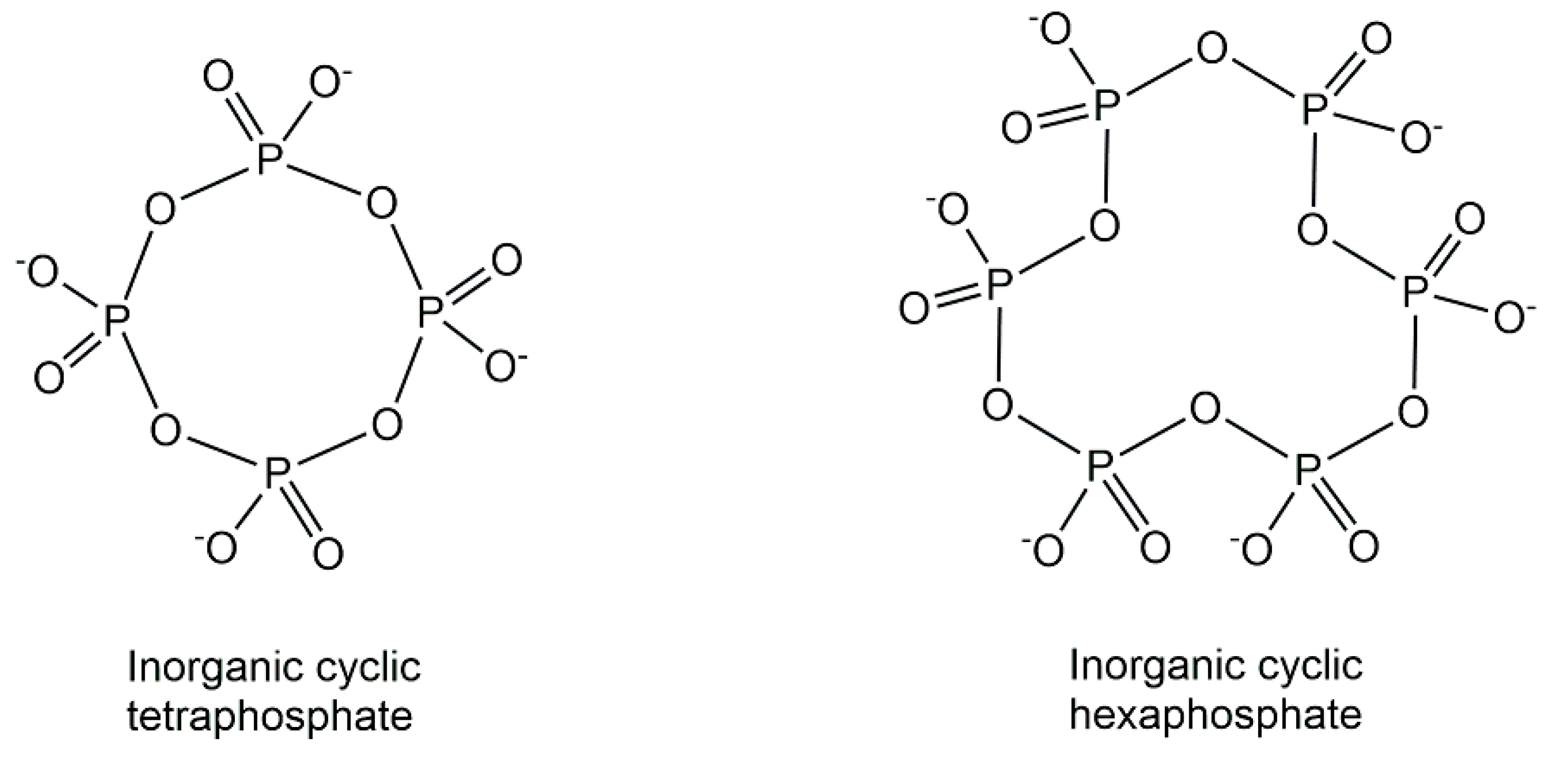 Ijms 24 03150 g004 Ijms 24 03150 g004