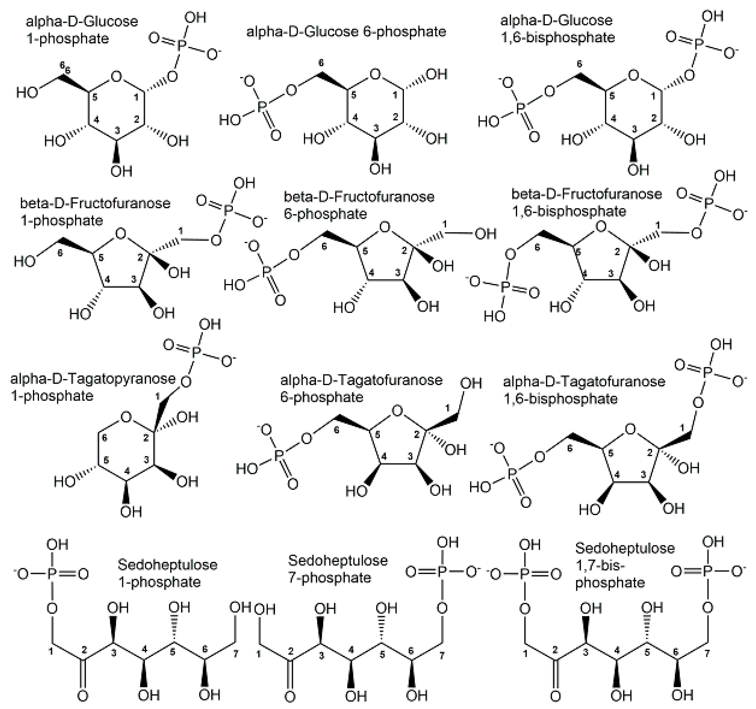 Ijms 24 03150 g005 Ijms 24 03150 g005