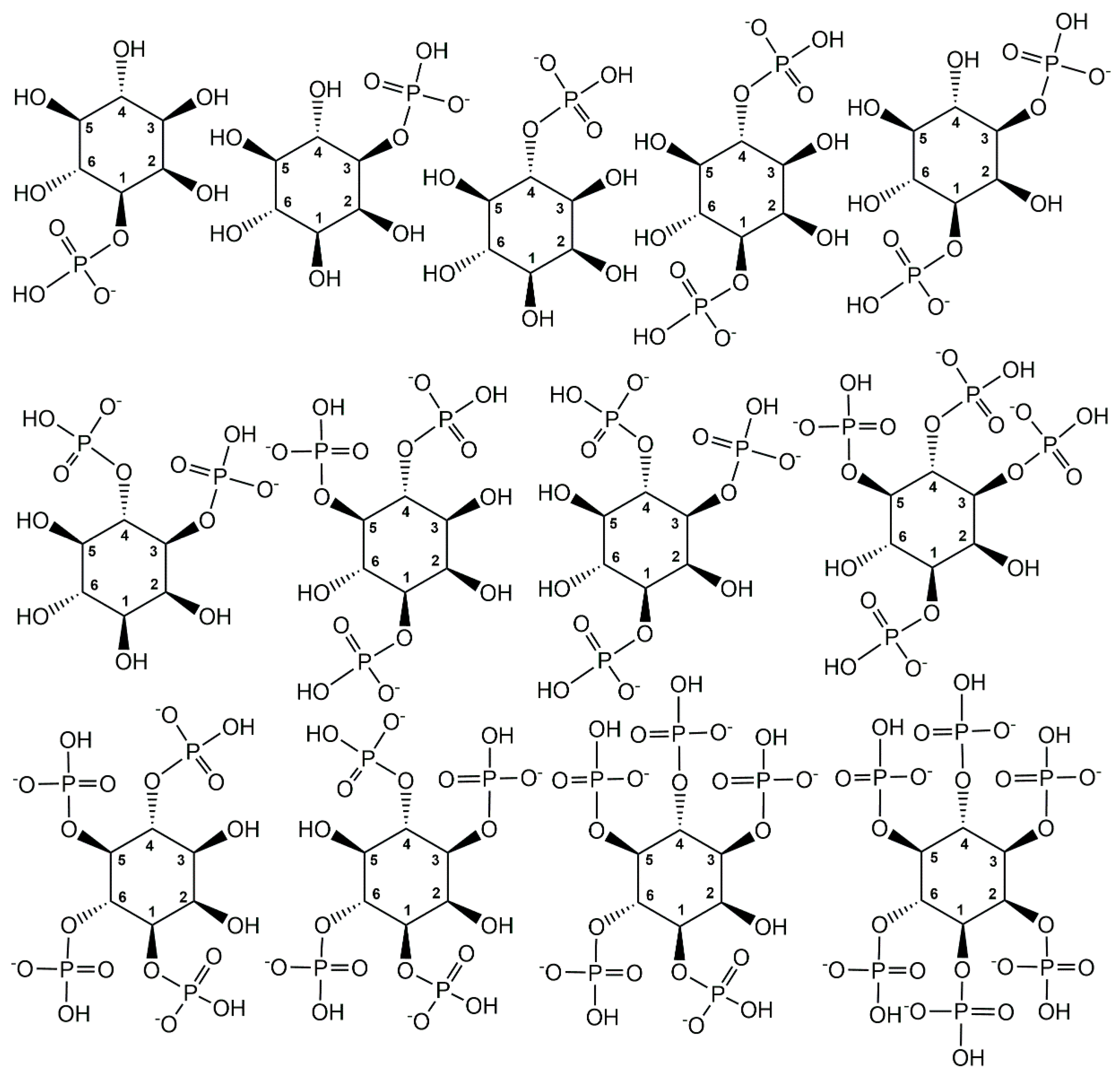 Ijms 24 03150 g006 Ijms 24 03150 g006