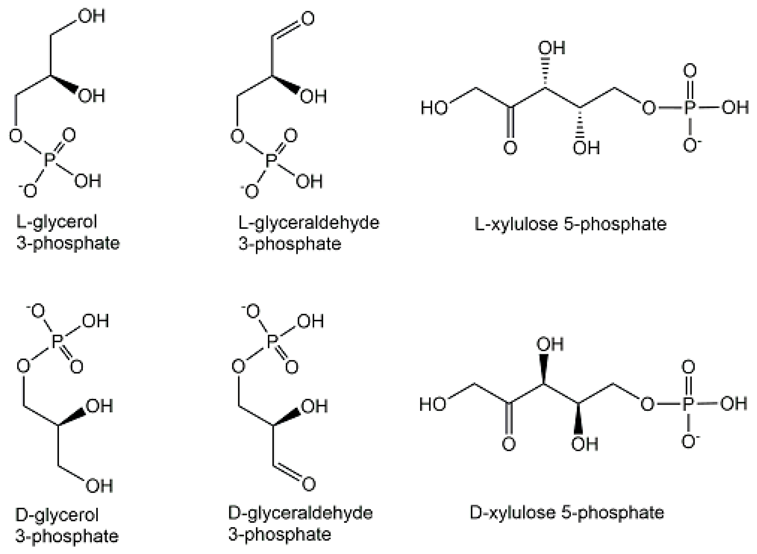 Ijms 24 03150 g007 Ijms 24 03150 g007