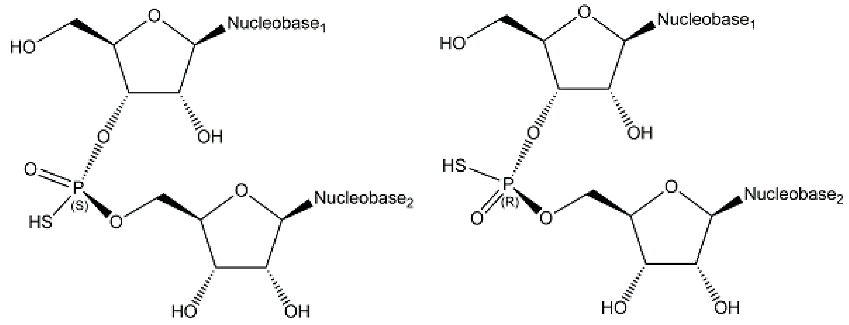 Ijms 24 03150 g010 Ijms 24 03150 g010