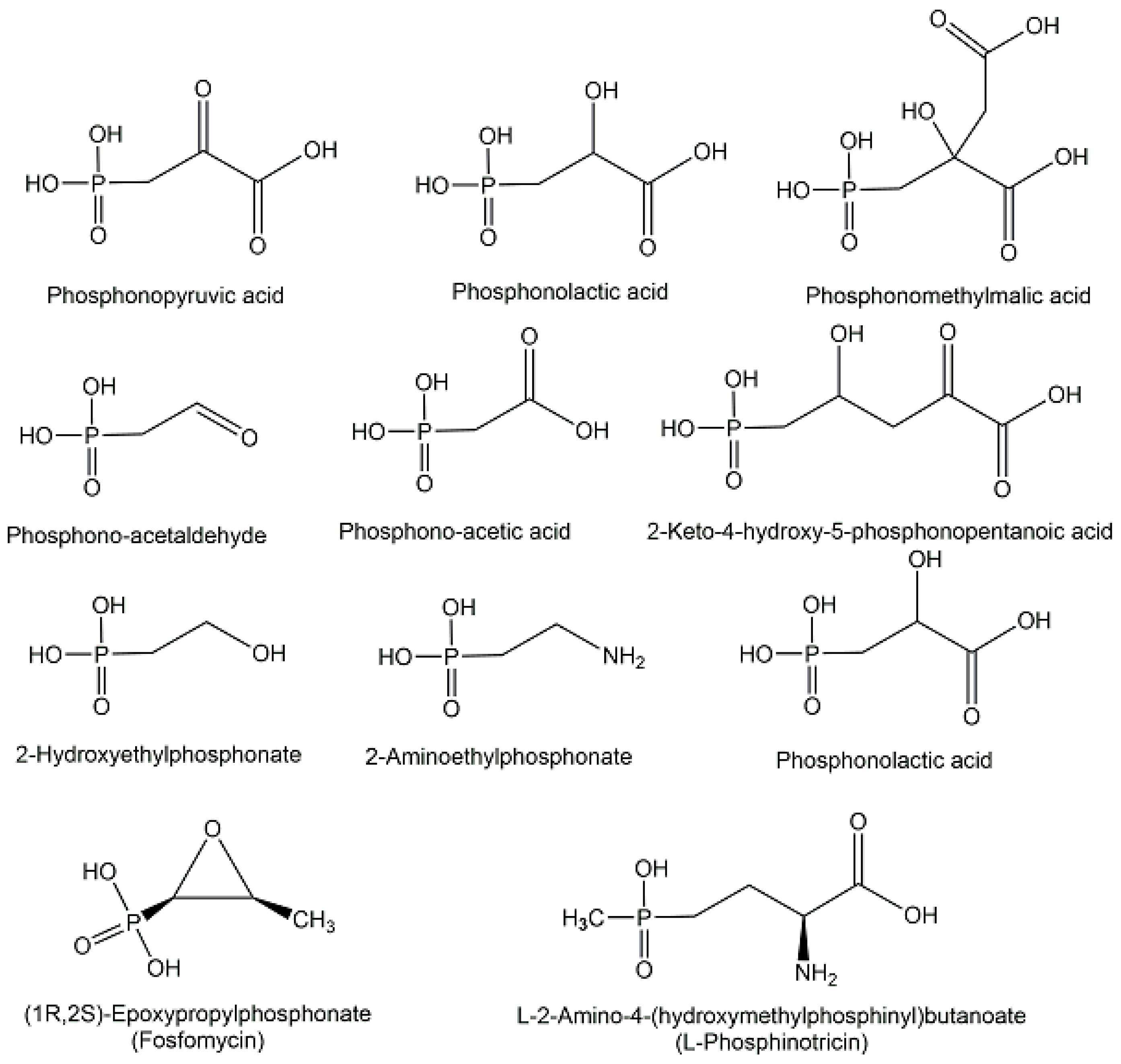 Ijms 24 03150 g011 Ijms 24 03150 g011