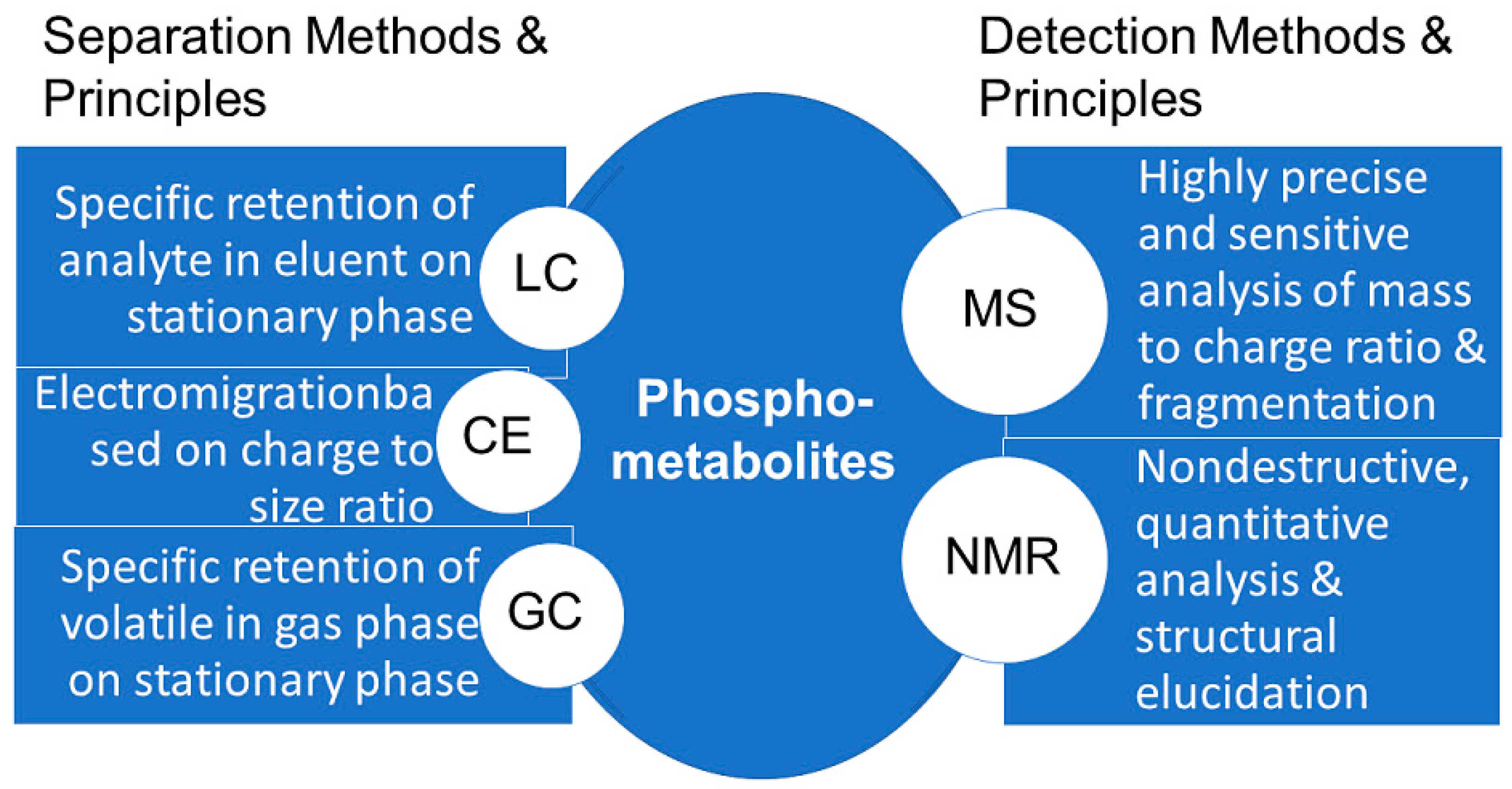 Ijms 24 03150 g013 Ijms 24 03150 g013
