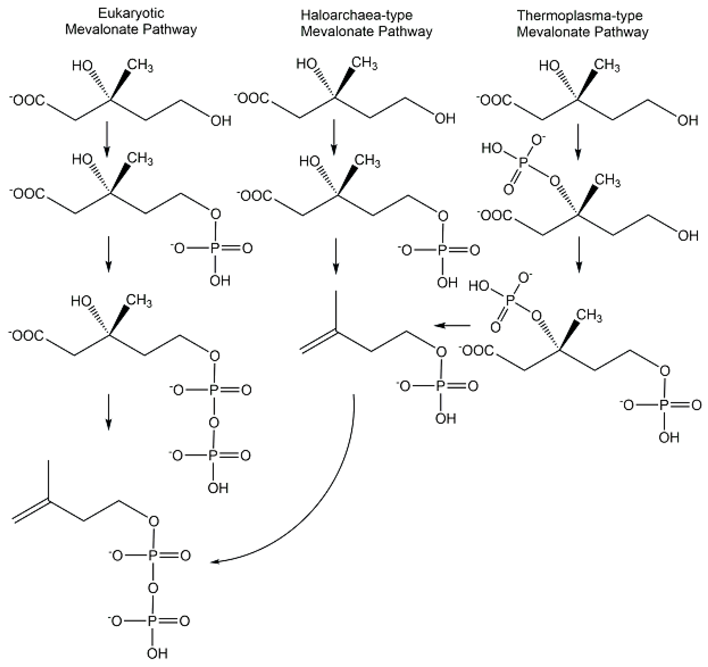 Ijms 24 03150 g014 Ijms 24 03150 g014