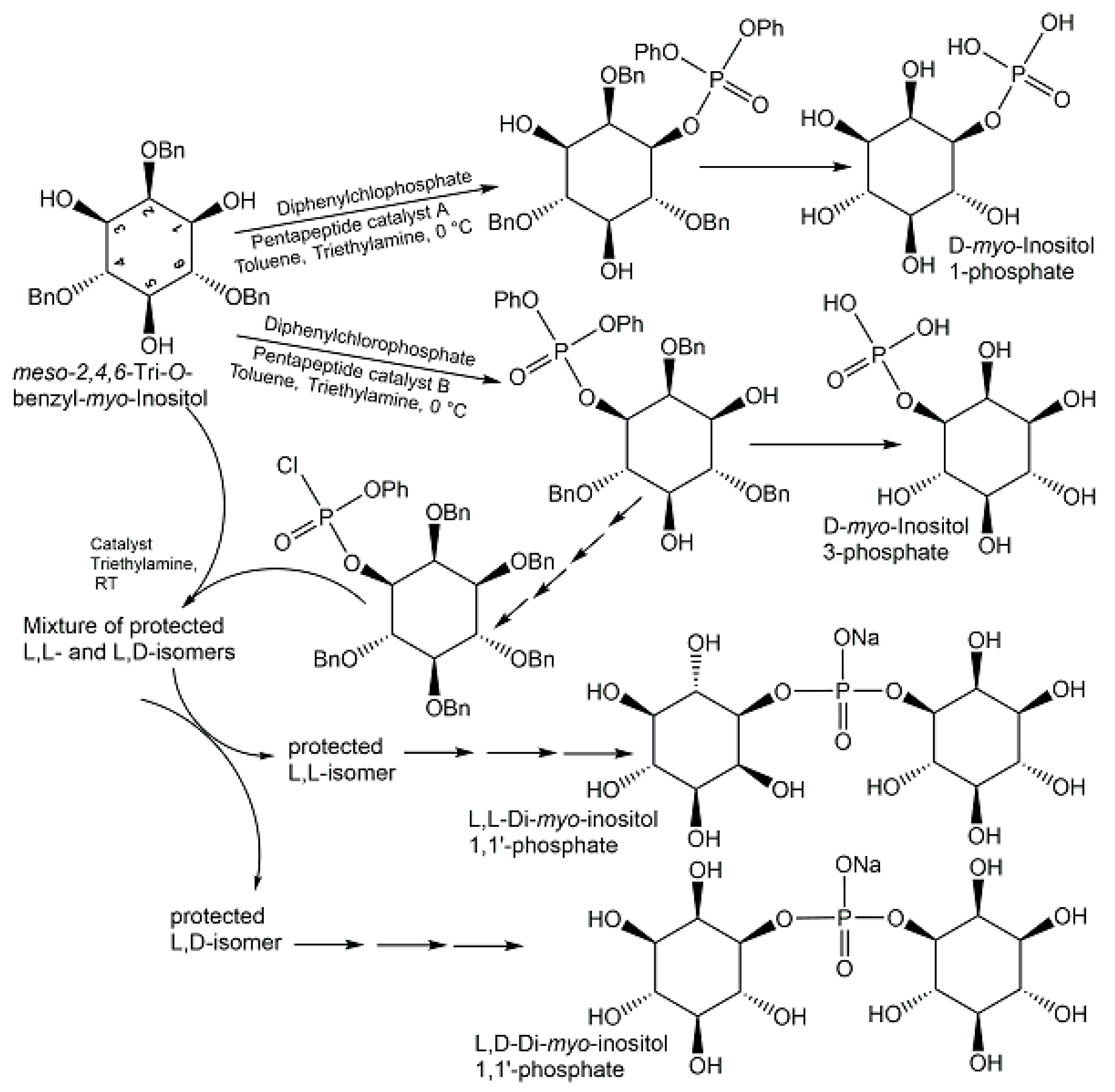 Ijms 24 03150 g016 Ijms 24 03150 g016