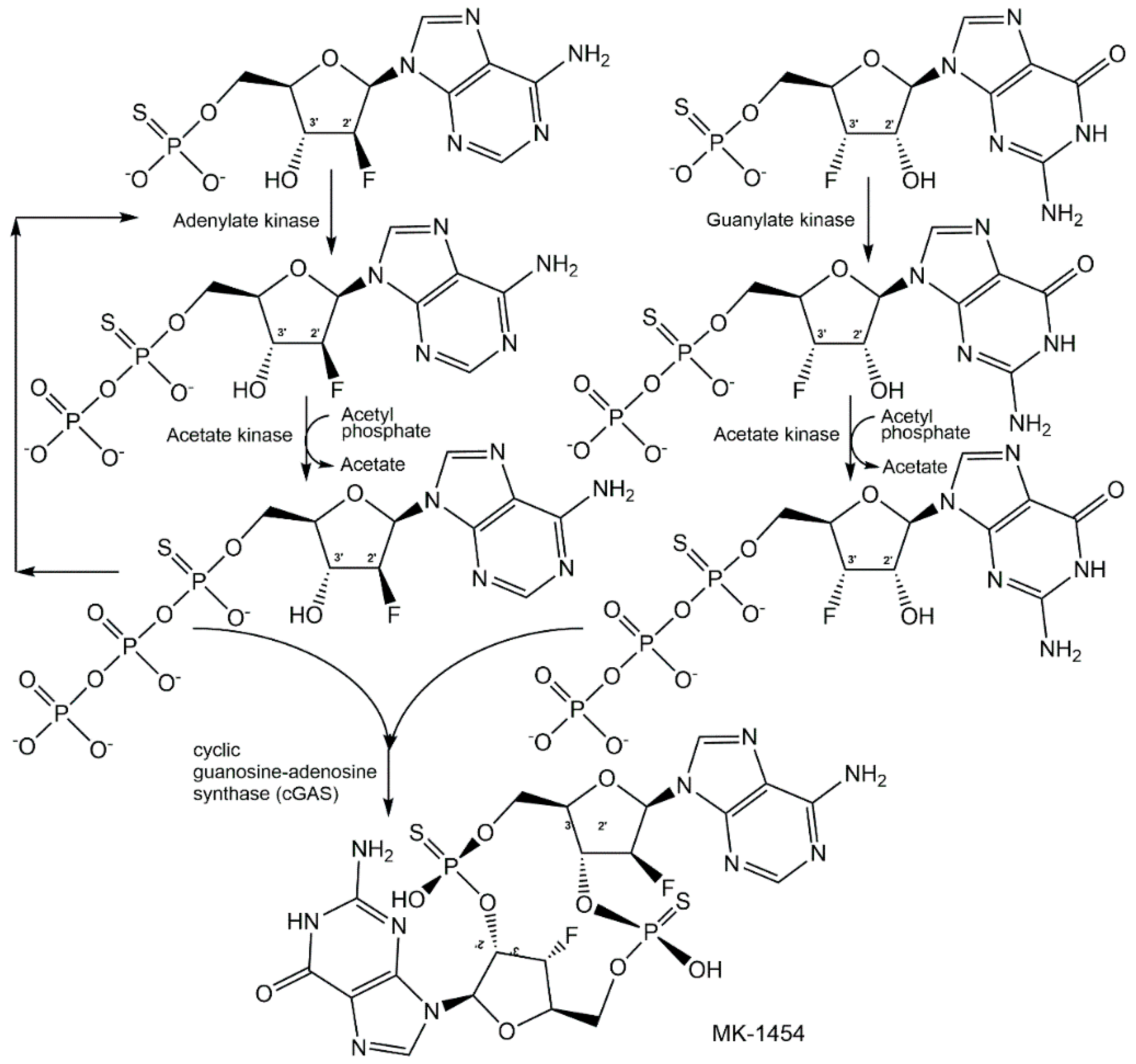 Ijms 24 03150 g020 Ijms 24 03150 g020
