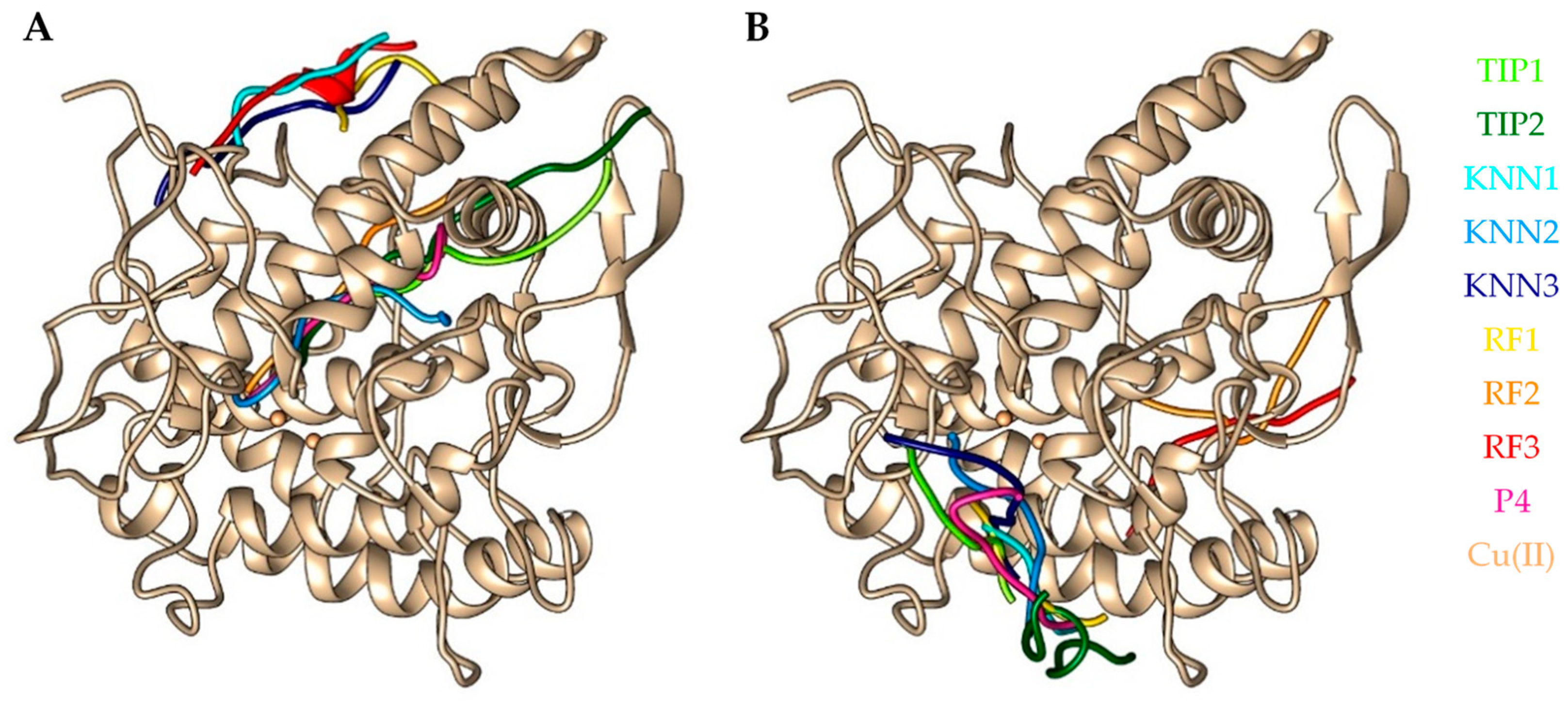Ijms 24 03154 g005 Ijms 24 03154 g005