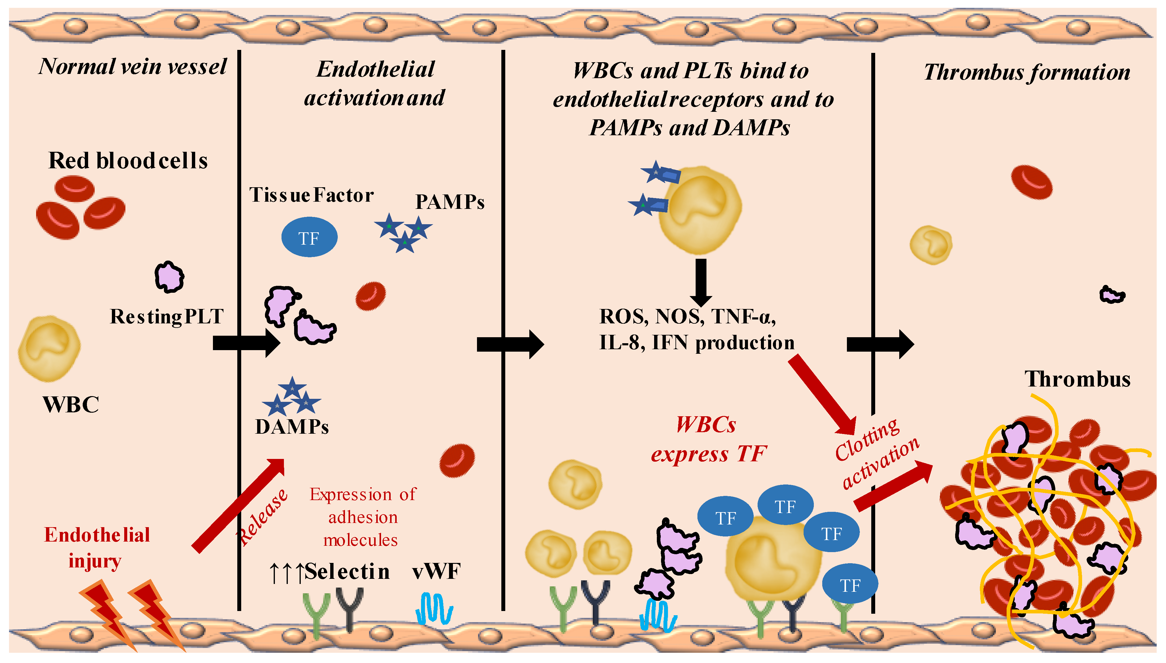 Ijms 24 03169 g001 Ijms 24 03169 g001