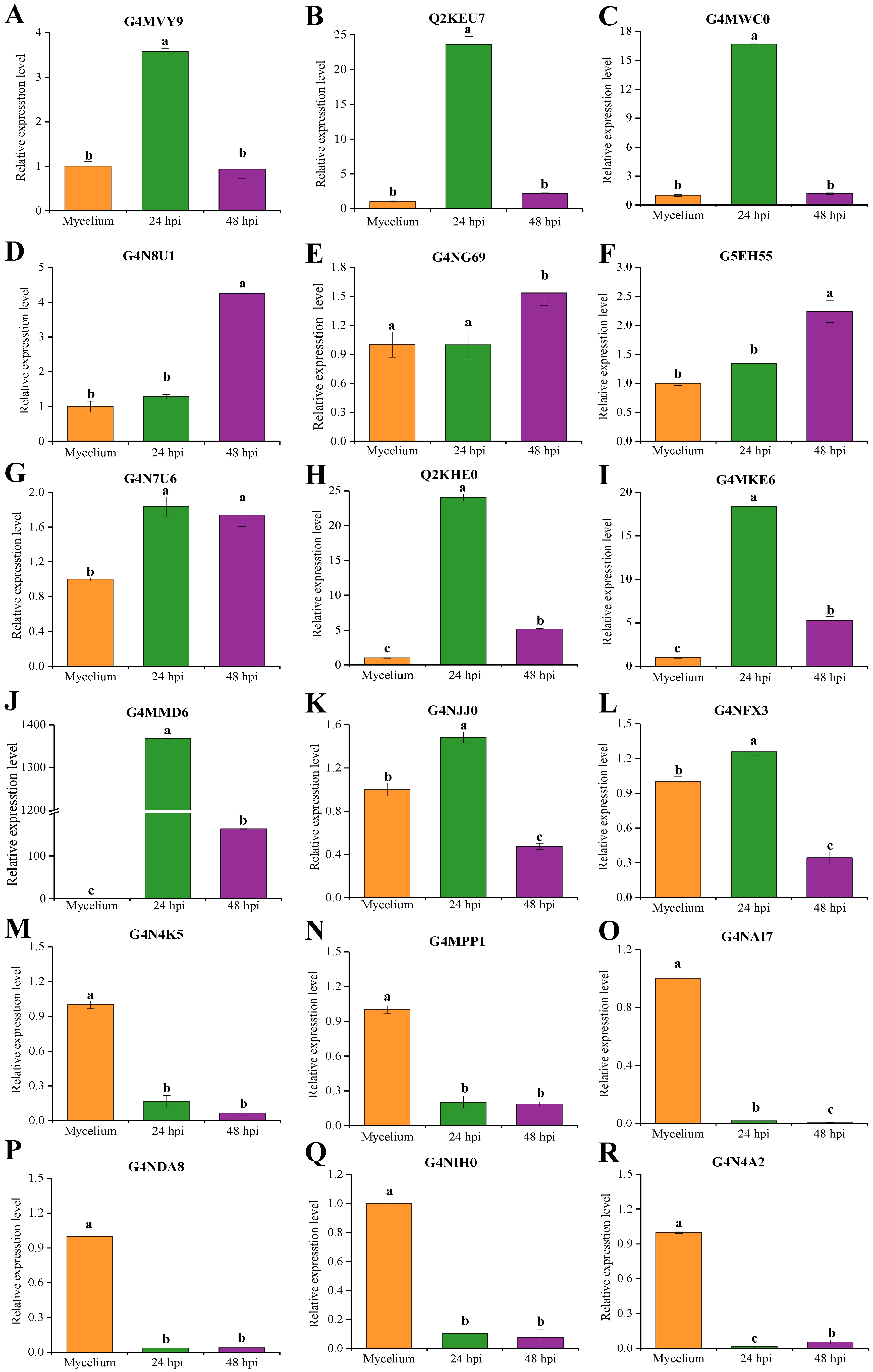 Ijms 24 03189 g005 Ijms 24 03189 g005