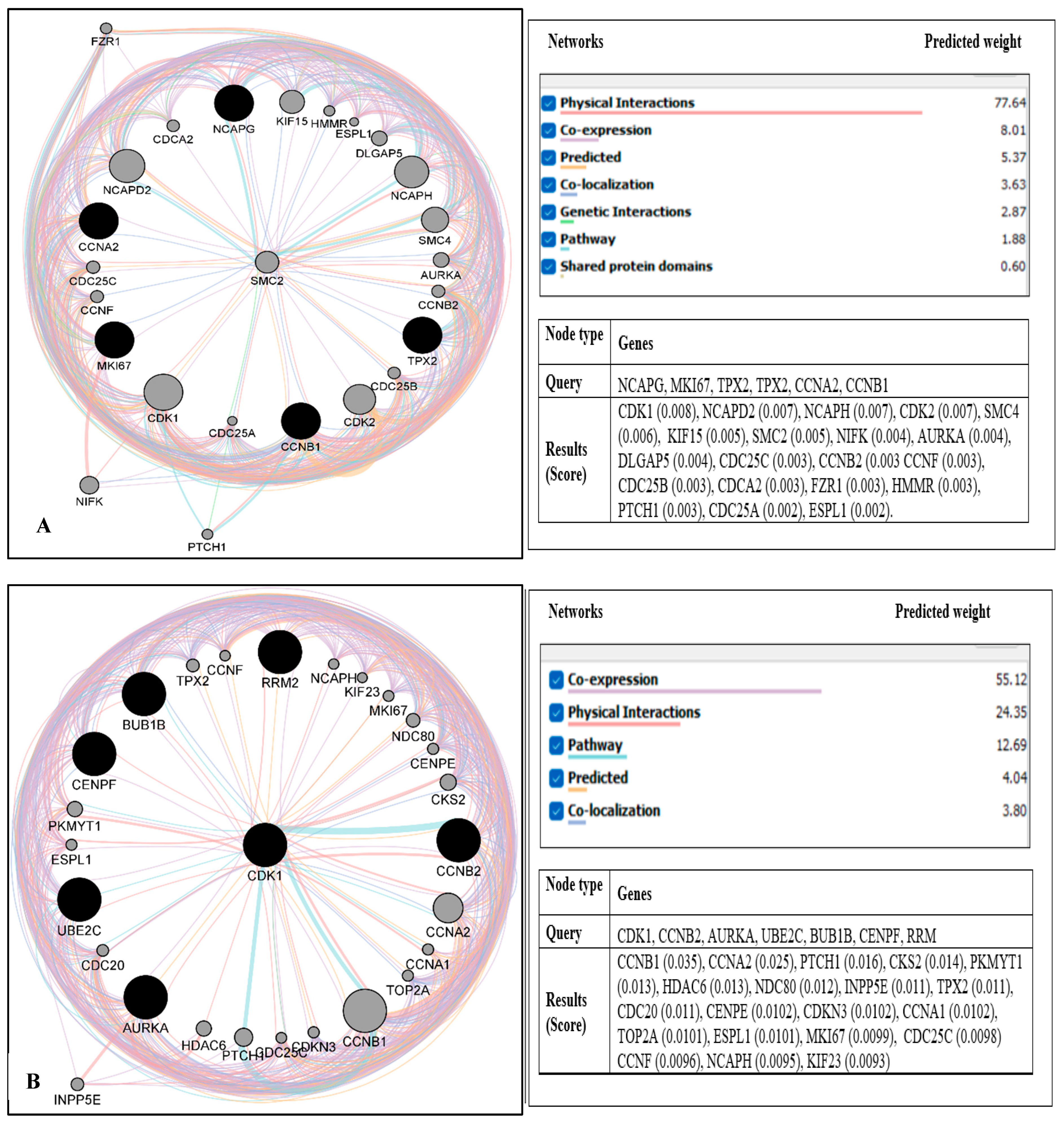 Ijms 24 03191 g005 Ijms 24 03191 g005