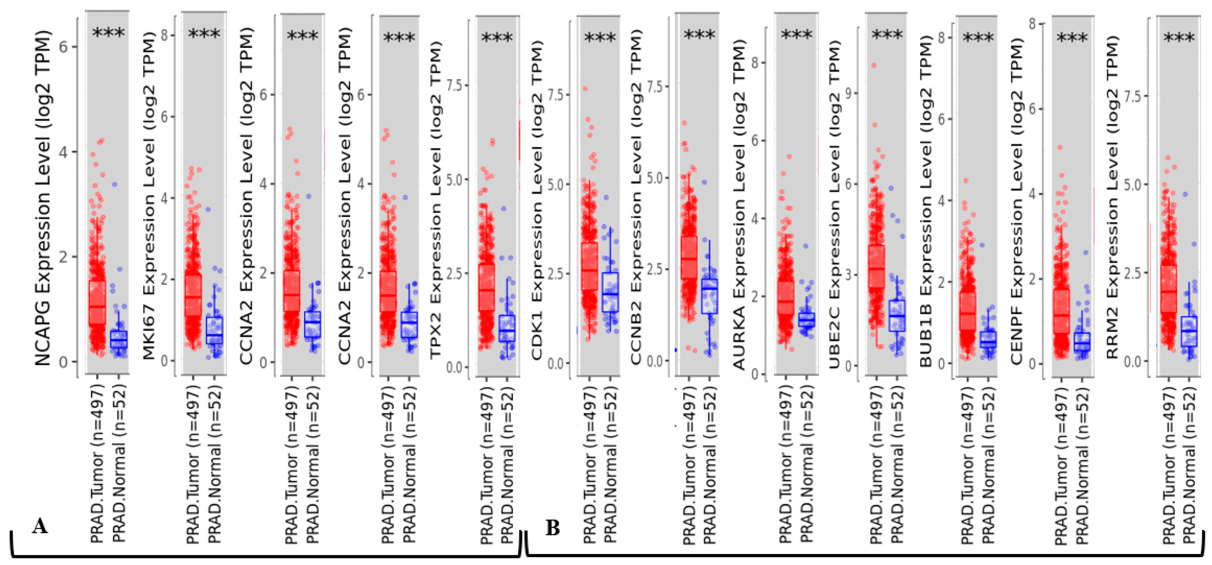 Ijms 24 03191 g006 Ijms 24 03191 g006