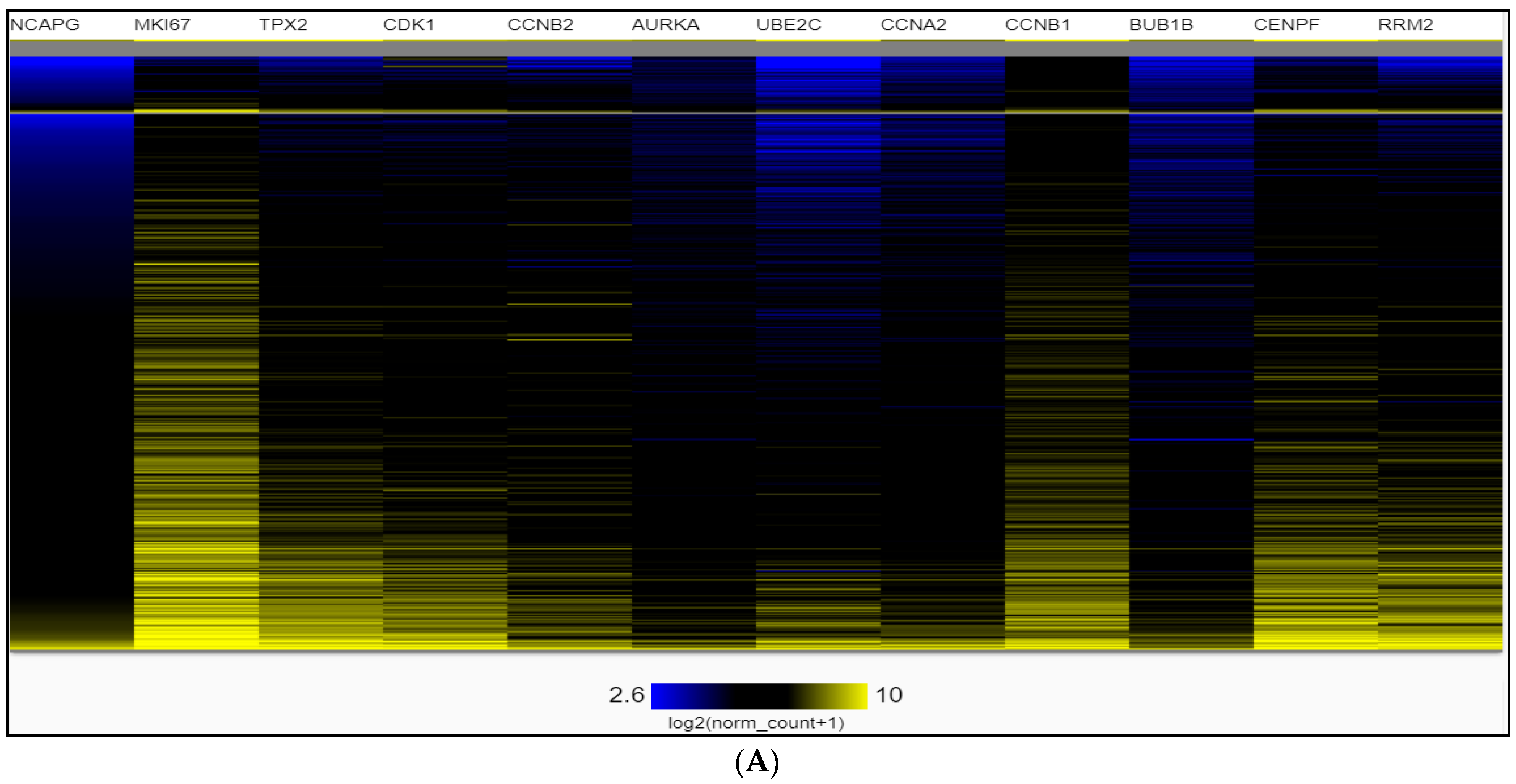 Ijms 24 03191 g007a Ijms 24 03191 g007a