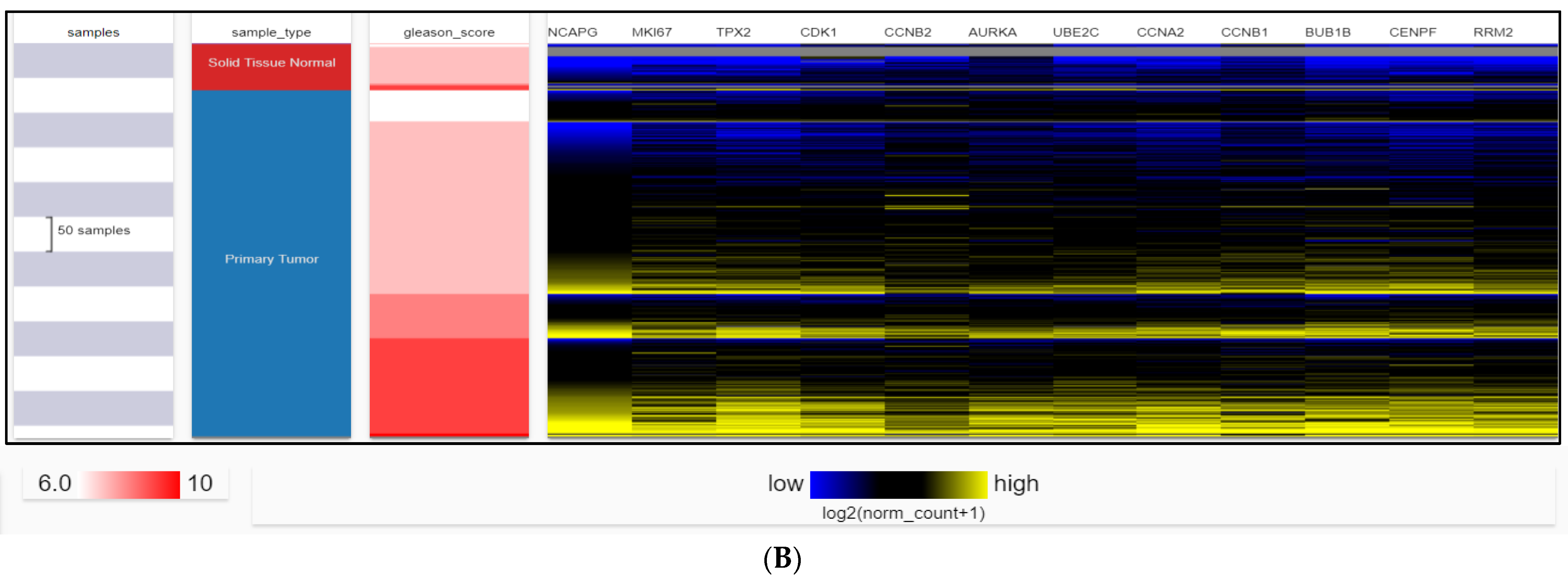 Ijms 24 03191 g007b Ijms 24 03191 g007b