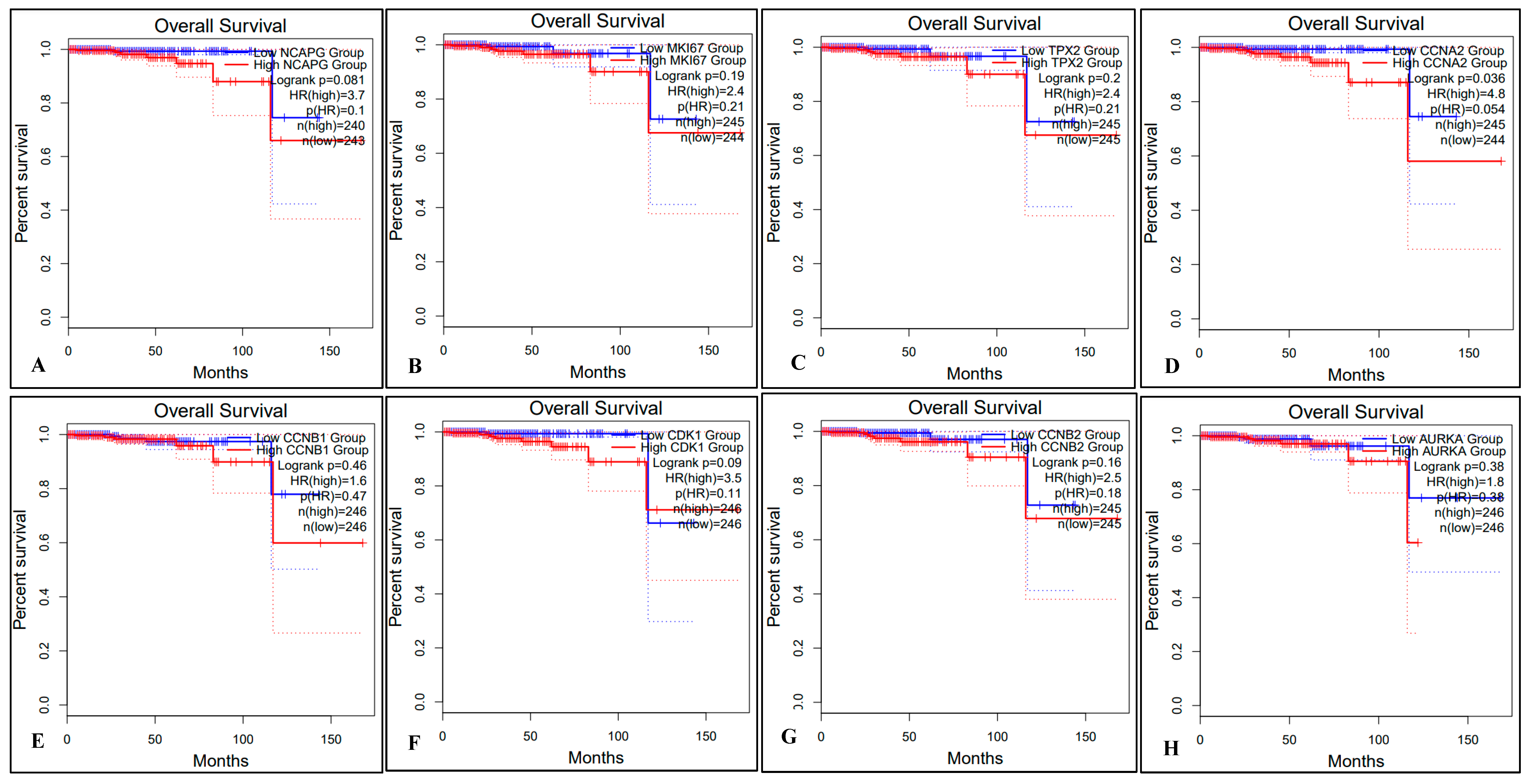 Ijms 24 03191 g008a Ijms 24 03191 g008a
