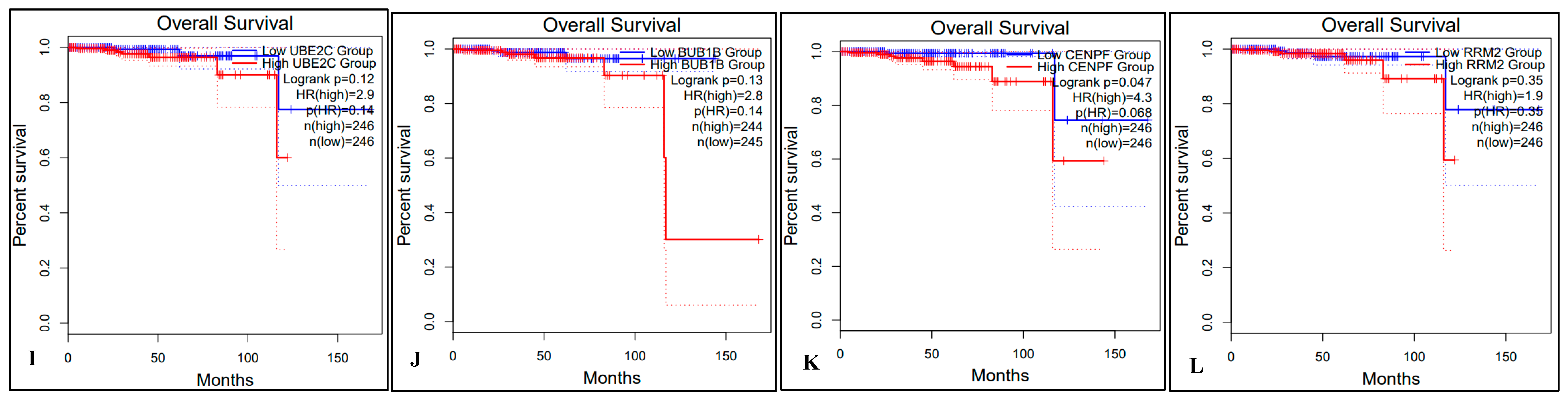 Ijms 24 03191 g008b Ijms 24 03191 g008b