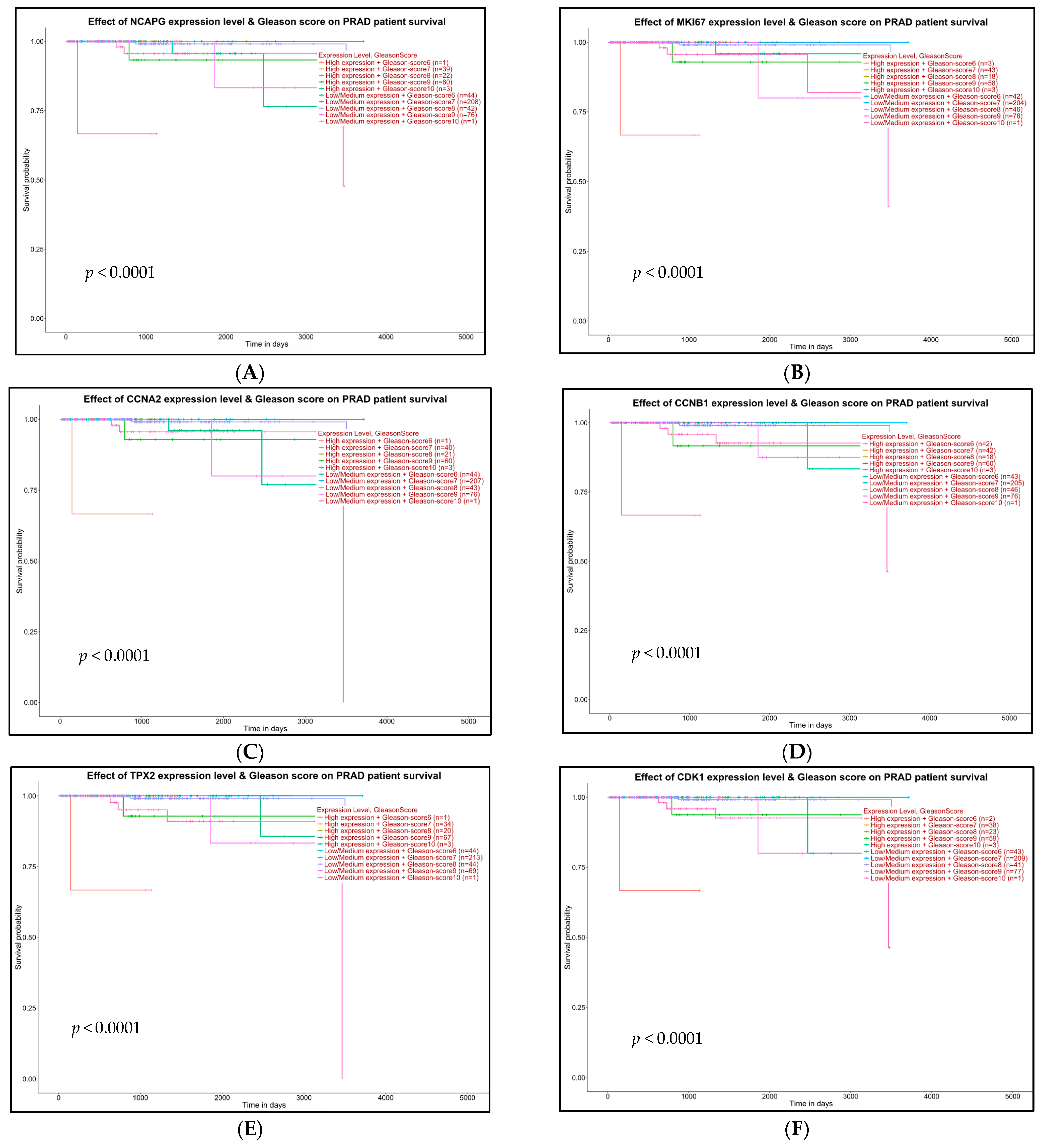 Ijms 24 03191 g010a Ijms 24 03191 g010a