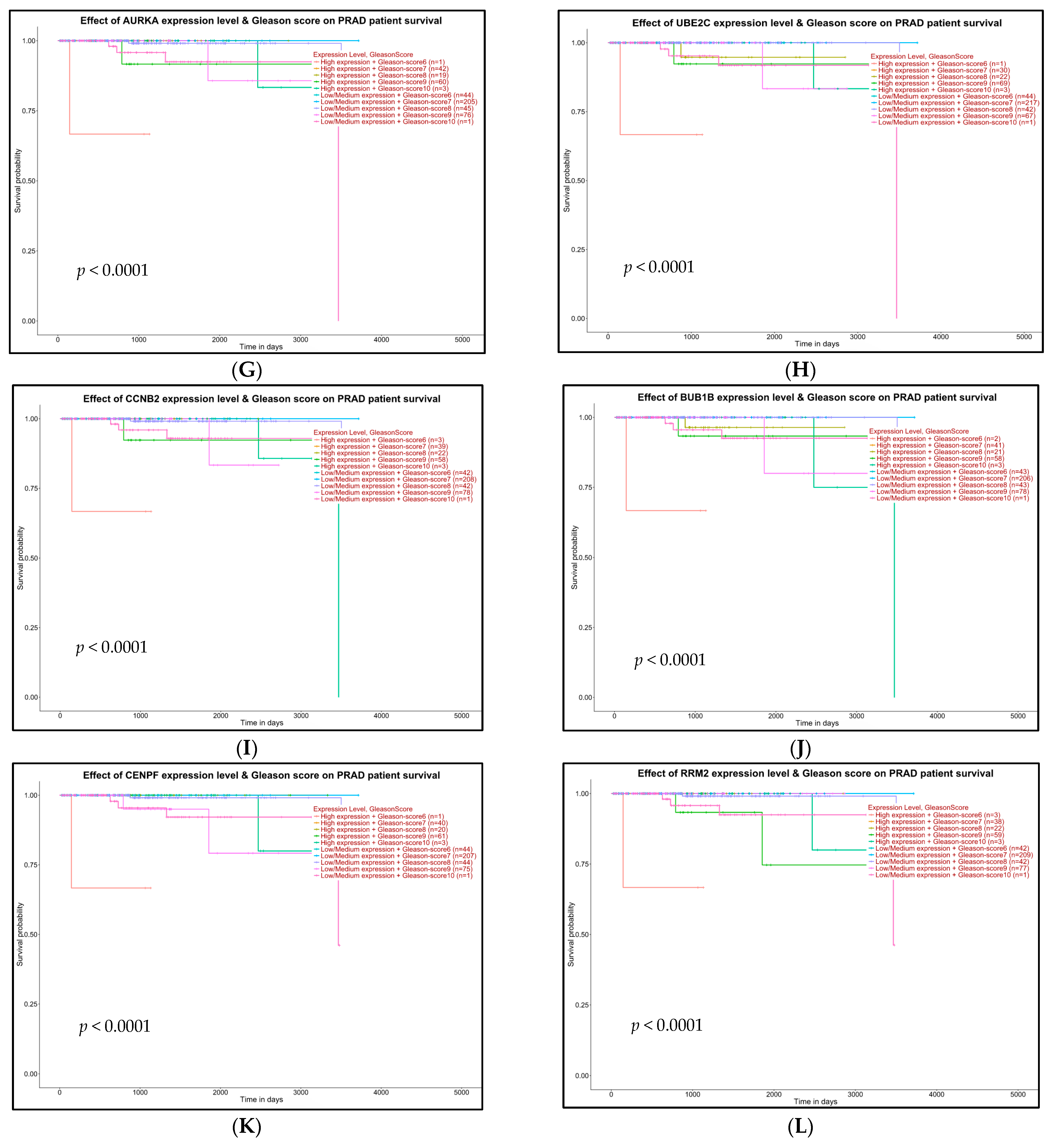 Ijms 24 03191 g010b Ijms 24 03191 g010b