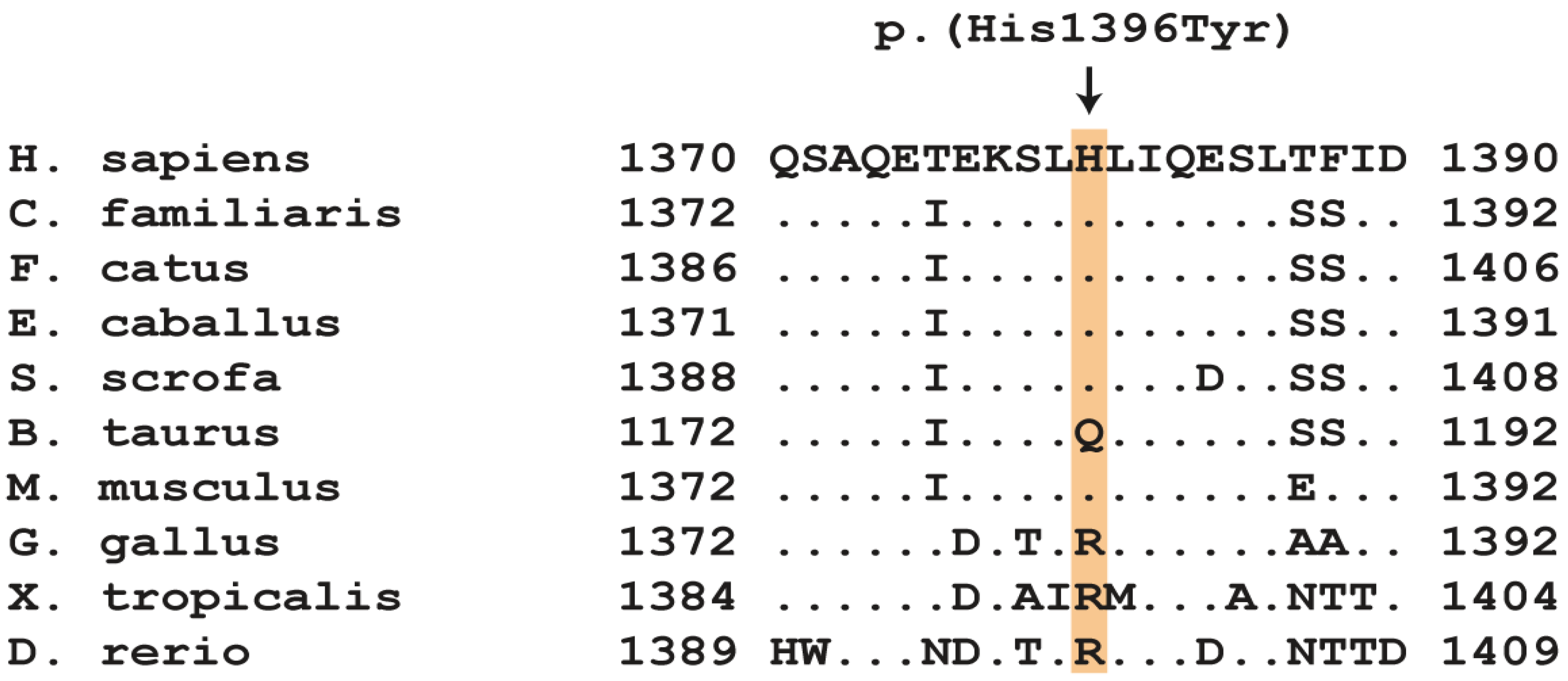 Ijms 24 03192 g003 Ijms 24 03192 g003