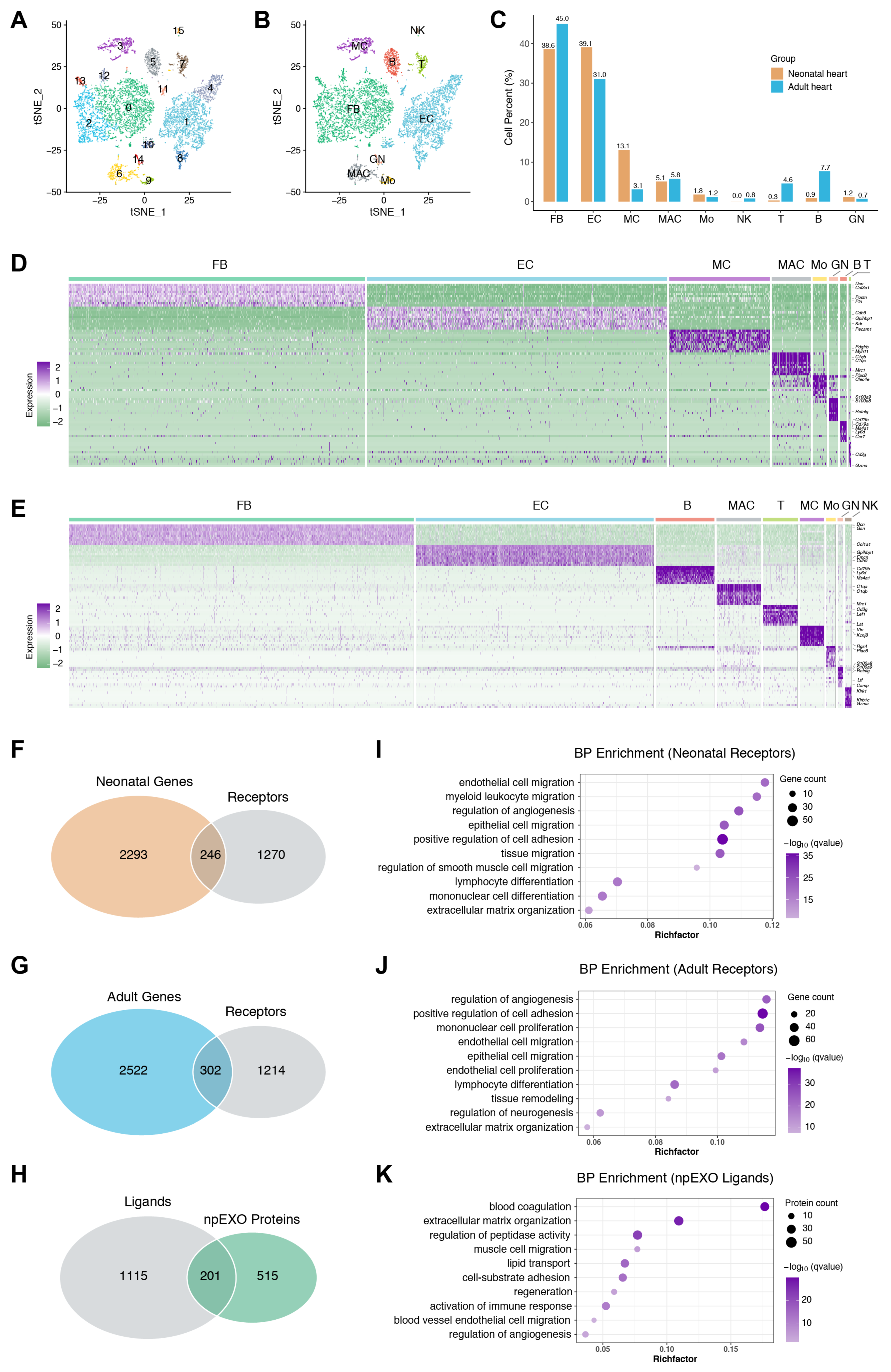 Ijms 24 03196 g002 Ijms 24 03196 g002