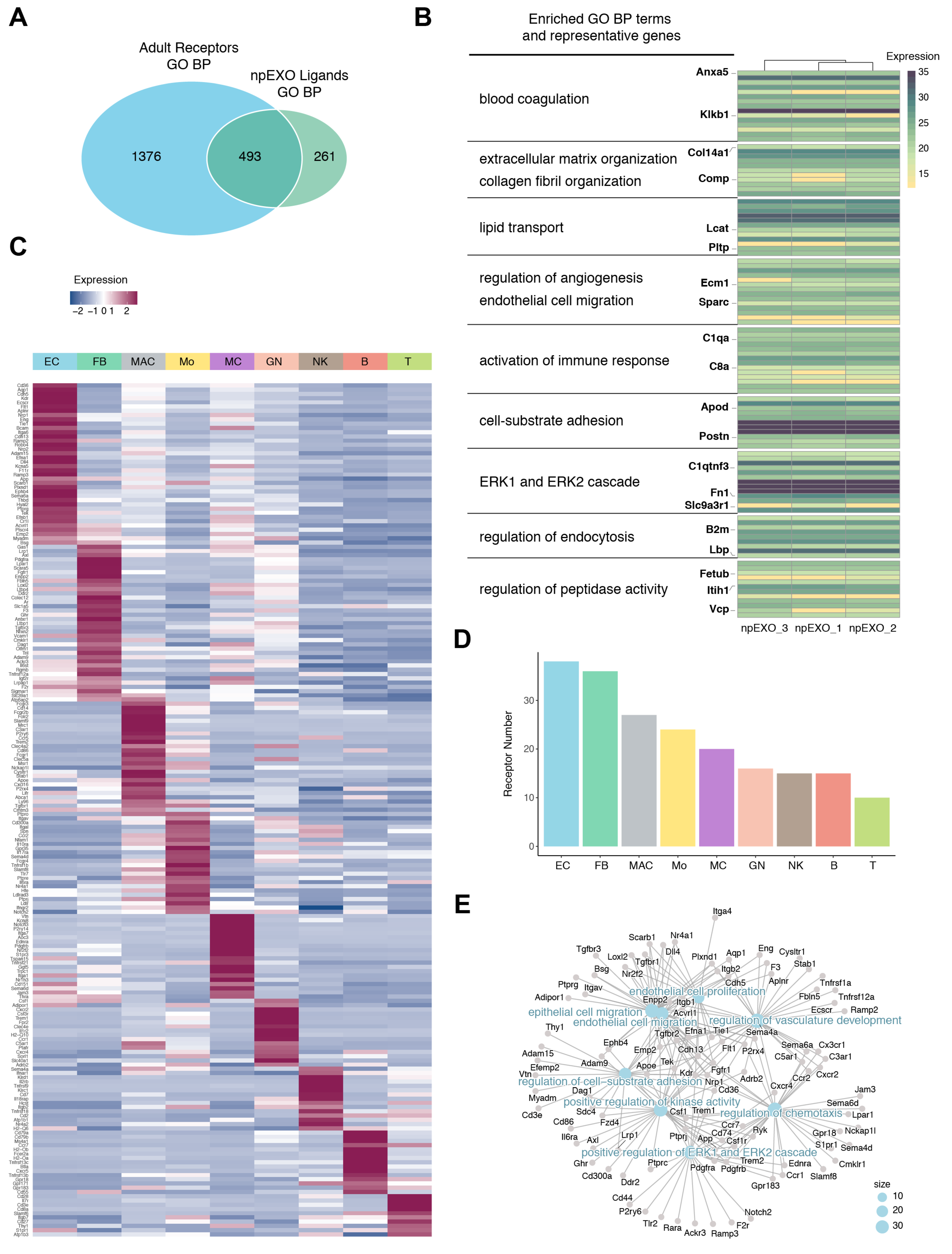 Ijms 24 03196 g003 Ijms 24 03196 g003