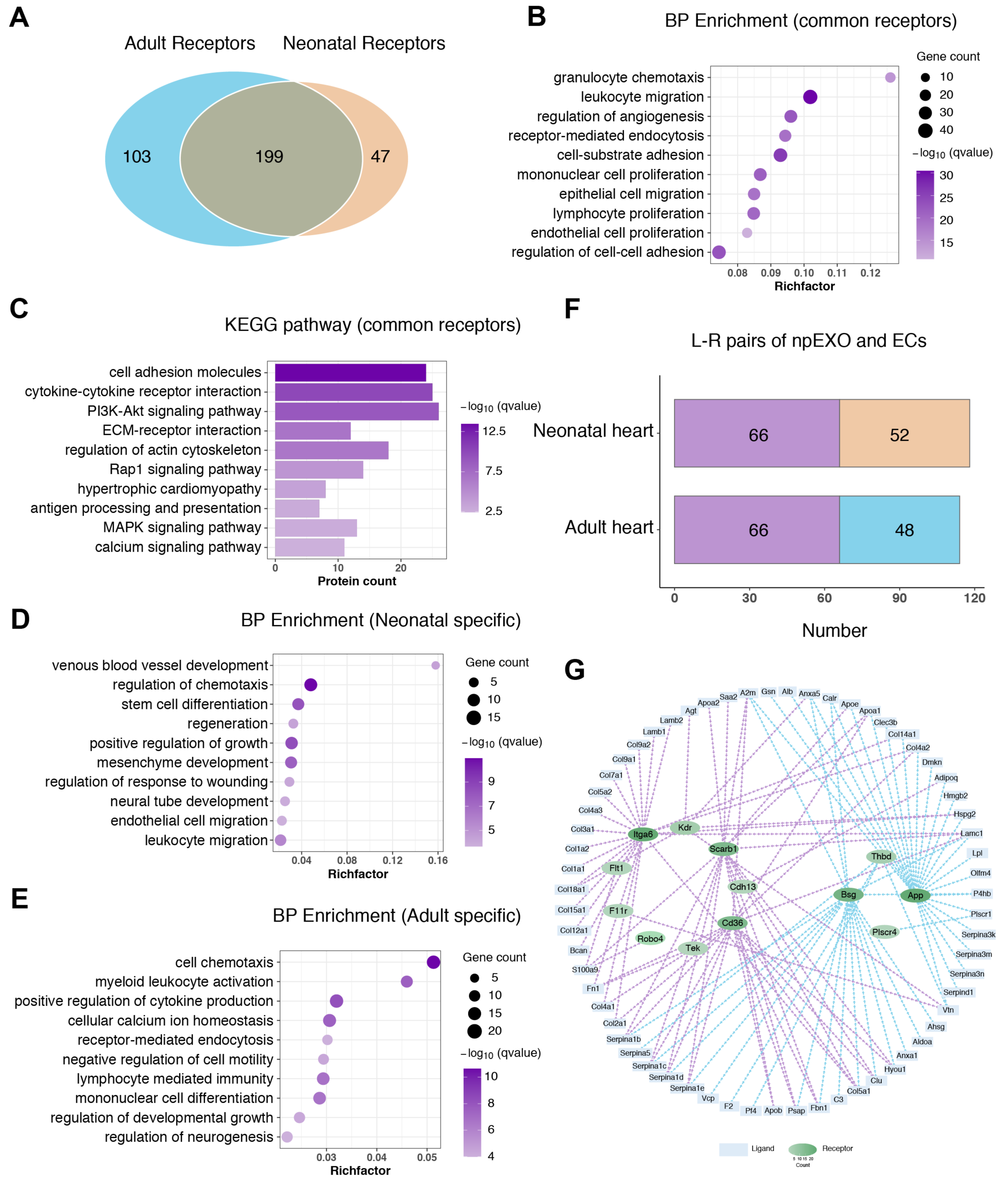 Ijms 24 03196 g006 Ijms 24 03196 g006