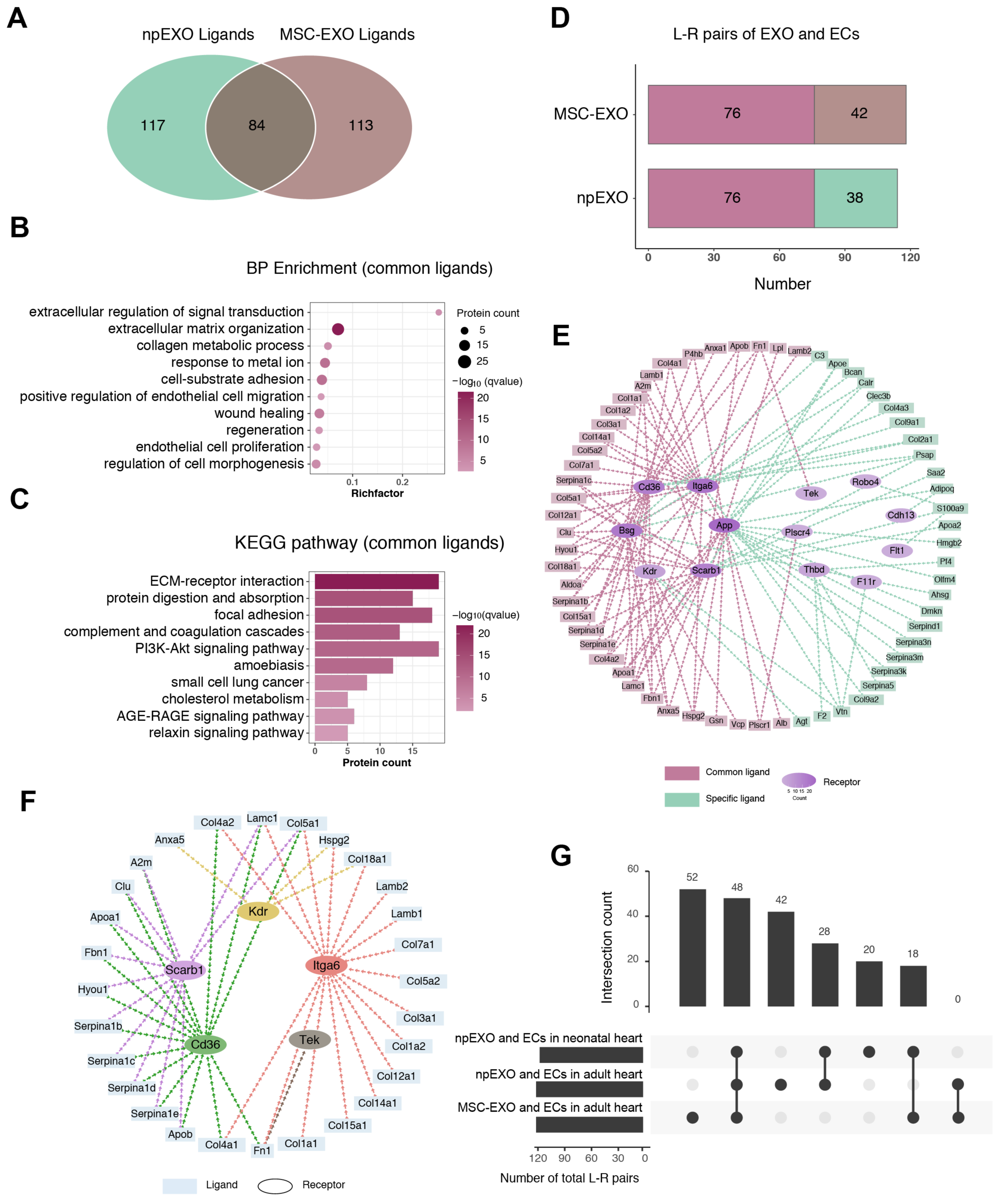 Ijms 24 03196 g007 Ijms 24 03196 g007