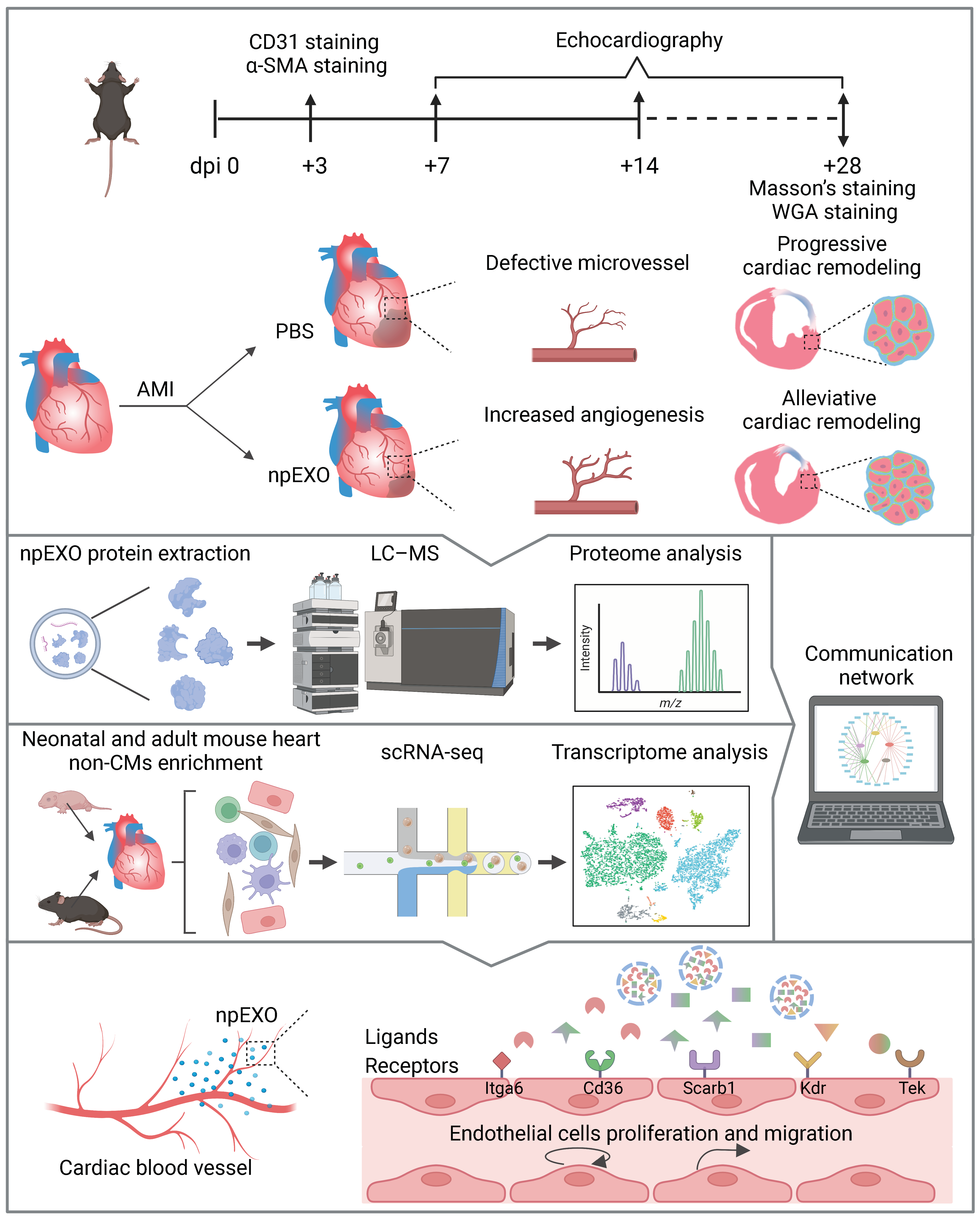 Ijms 24 03196 g008 Ijms 24 03196 g008