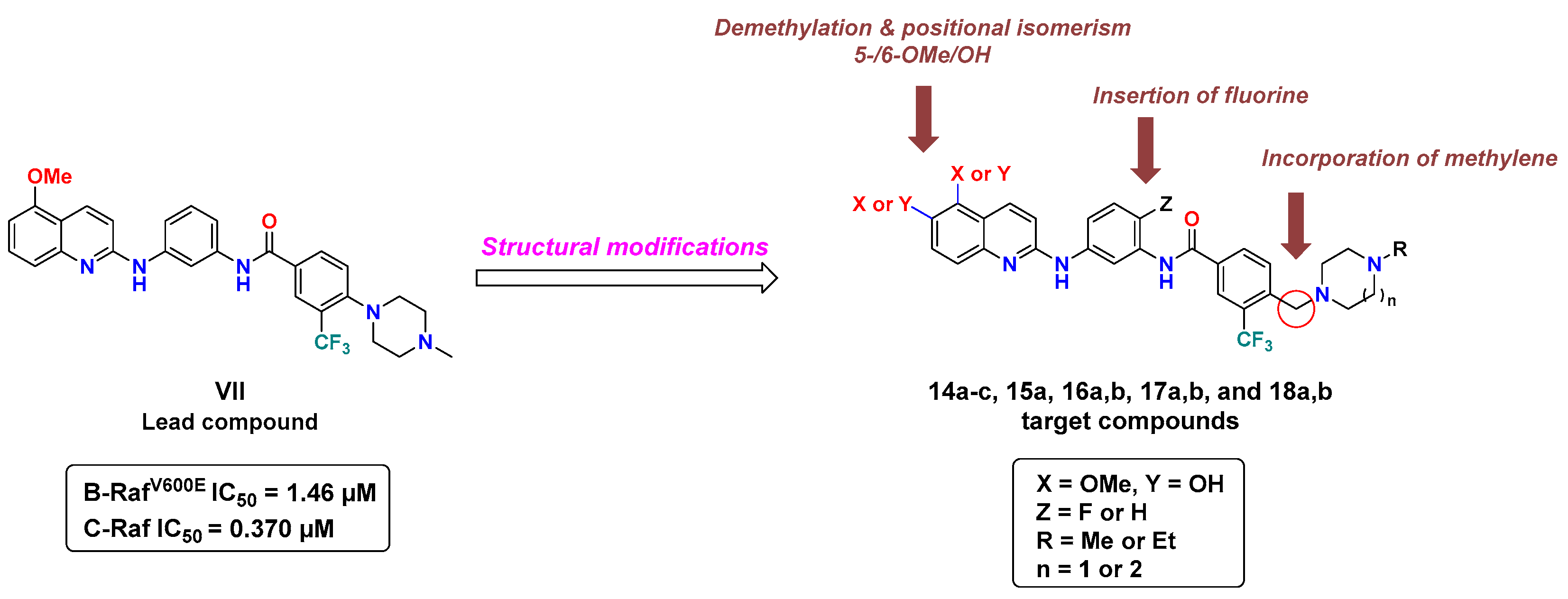 Ijms 24 03216 g003 Ijms 24 03216 g003