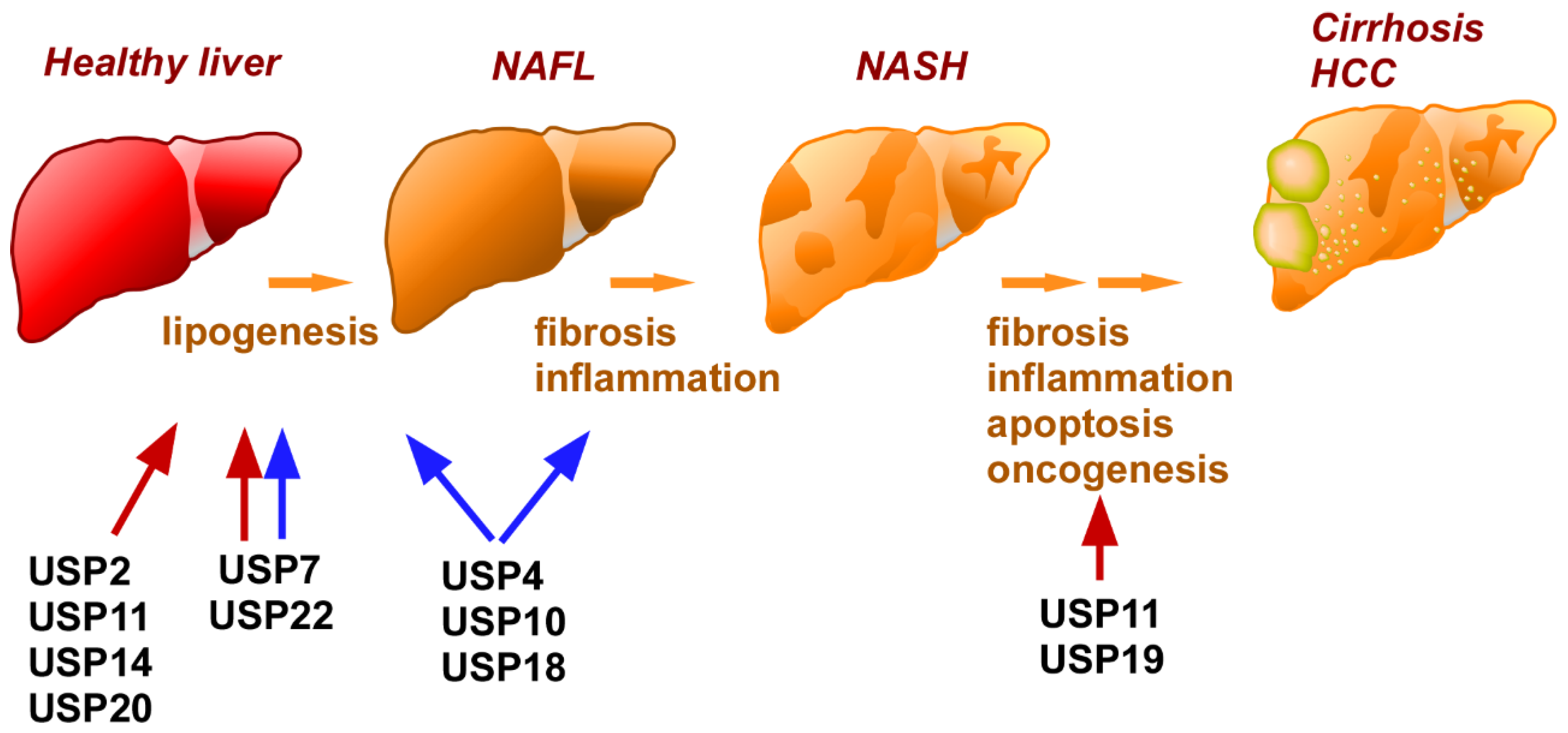 Ijms 24 03219 g002 Ijms 24 03219 g002