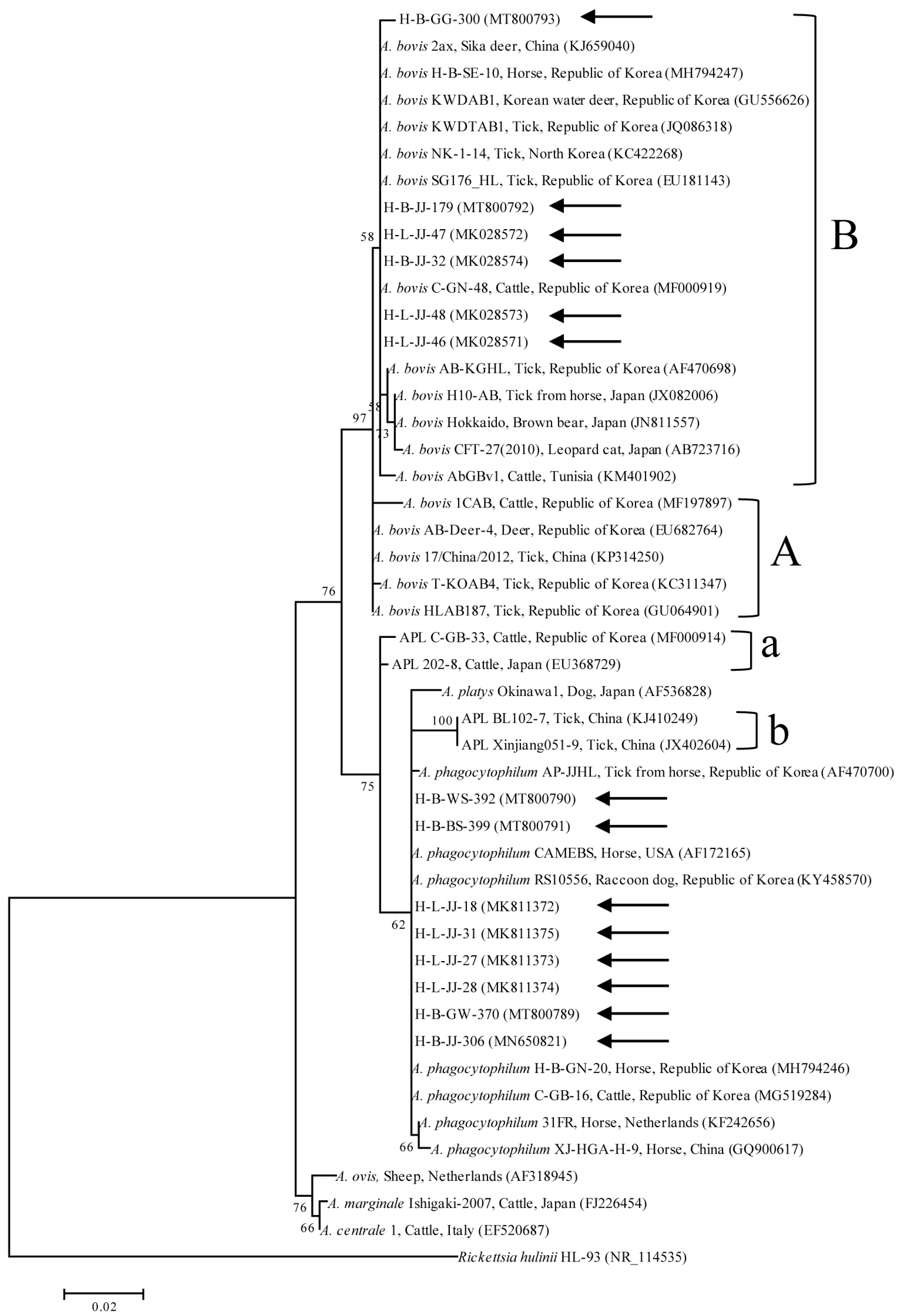 Ijms 24 03239 g003 Ijms 24 03239 g003