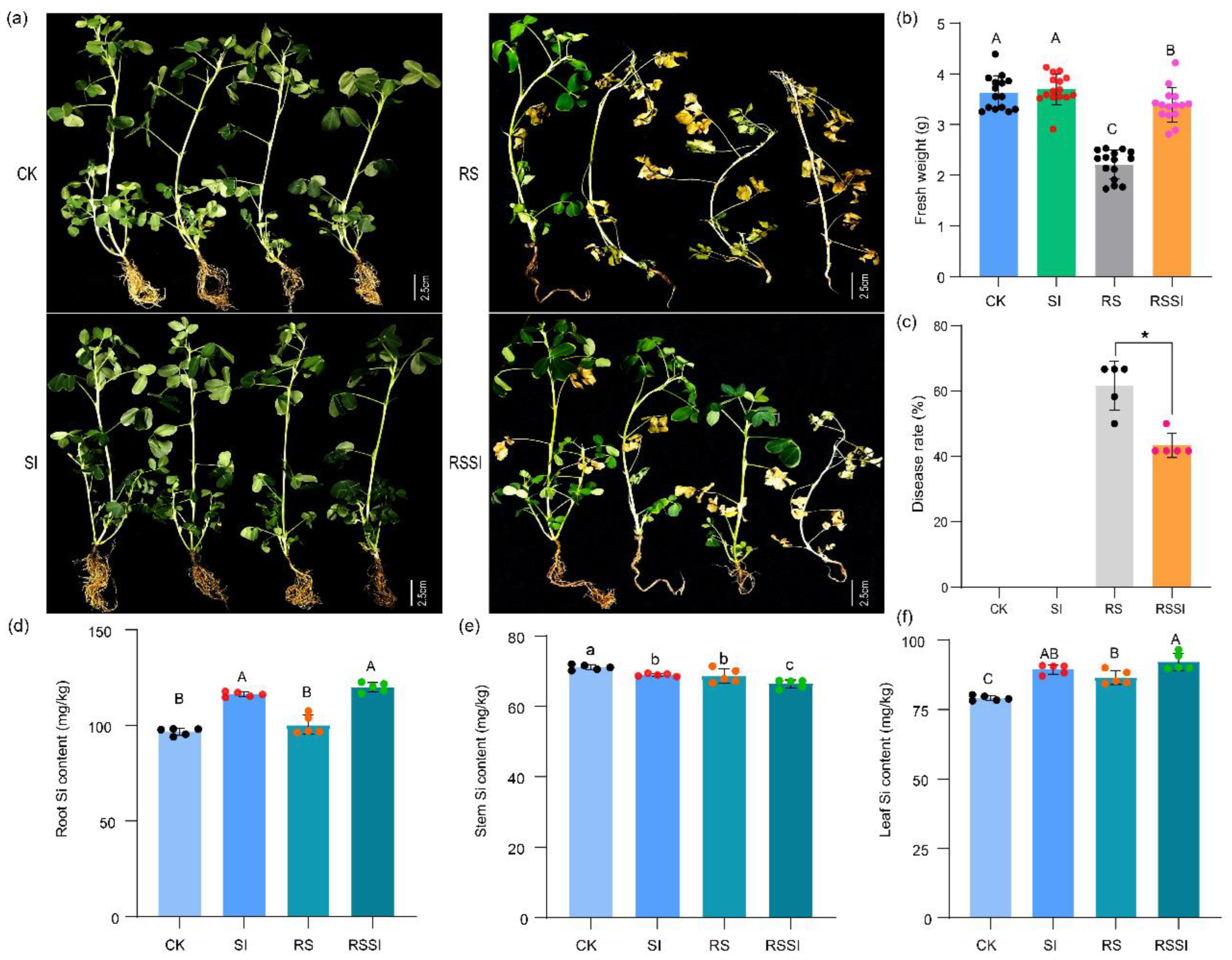 Ijms 24 03268 g001 Ijms 24 03268 g001
