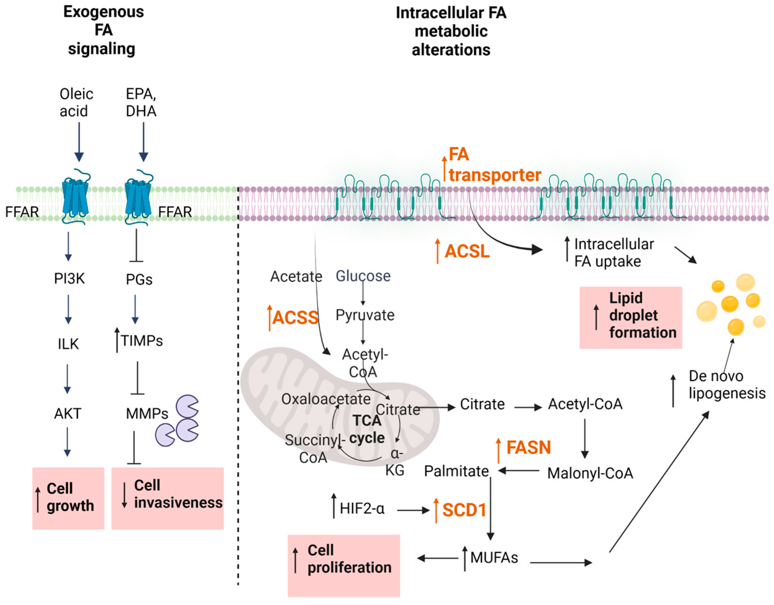 Ijms 24 03272 g002 Ijms 24 03272 g002