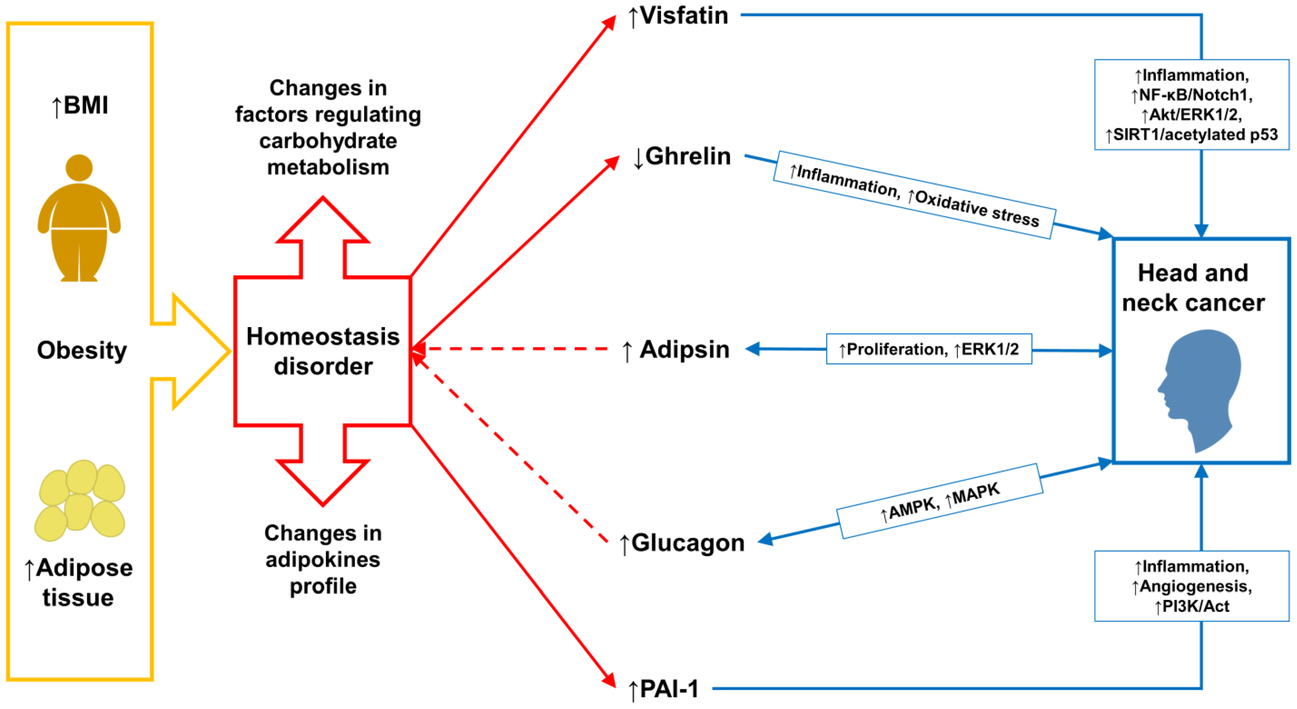 Ijms 24 03283 g003 Ijms 24 03283 g003