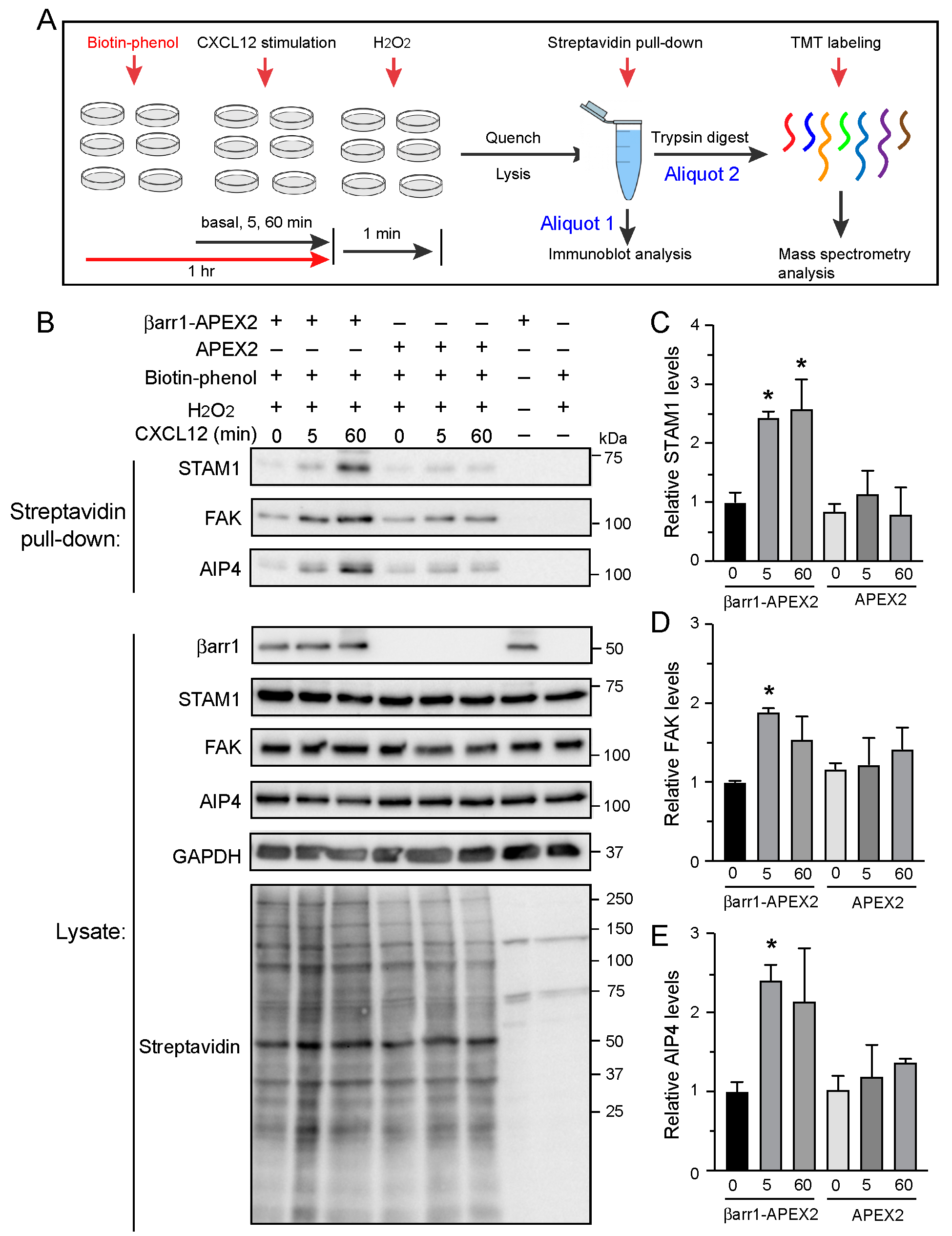 Ijms 24 03285 g003 Ijms 24 03285 g003