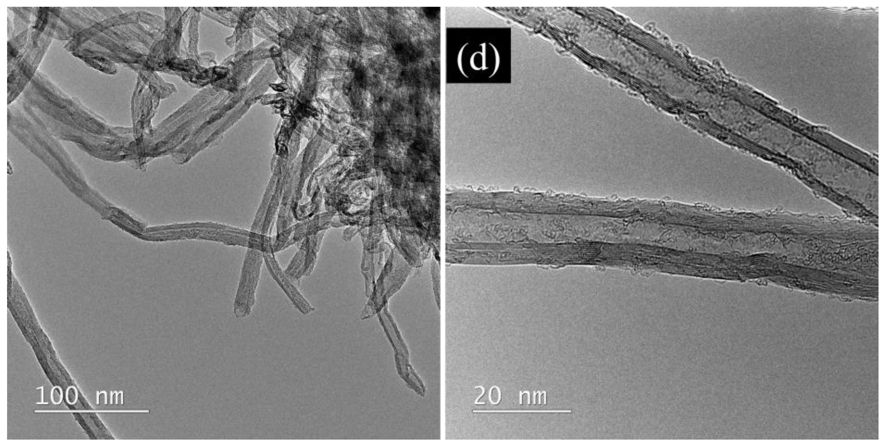 Ijms 24 03299 g002b Ijms 24 03299 g002b