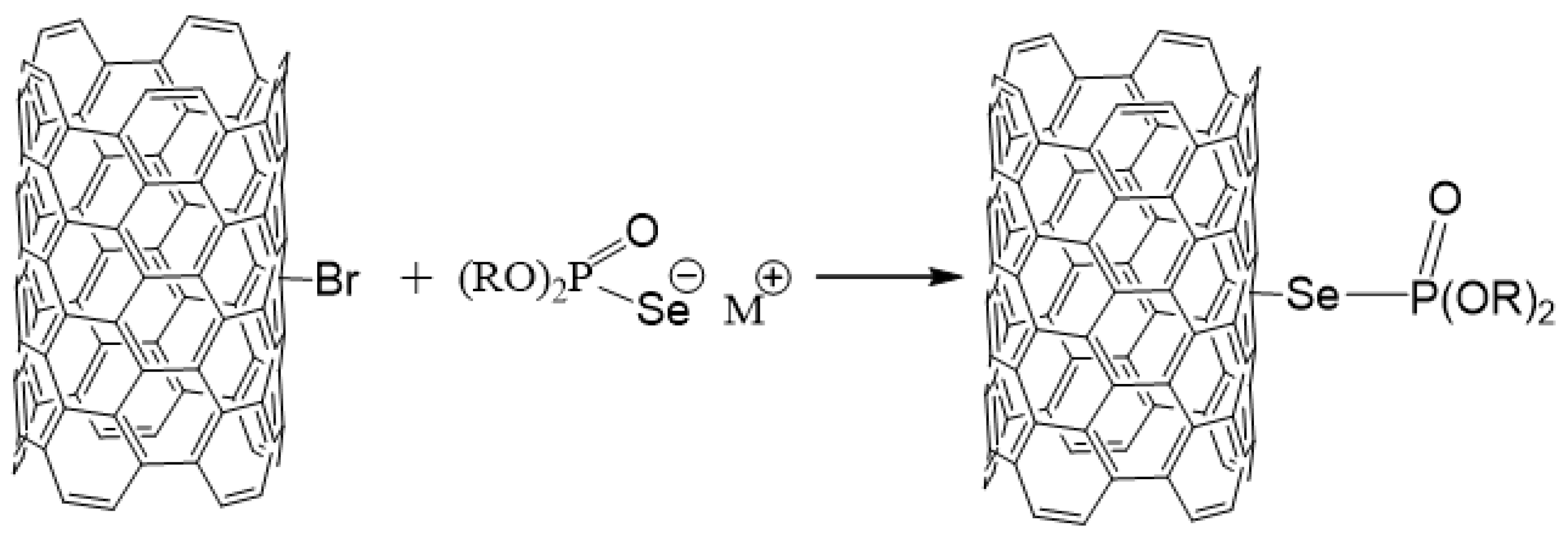 Ijms 24 03299 g007 Ijms 24 03299 g007