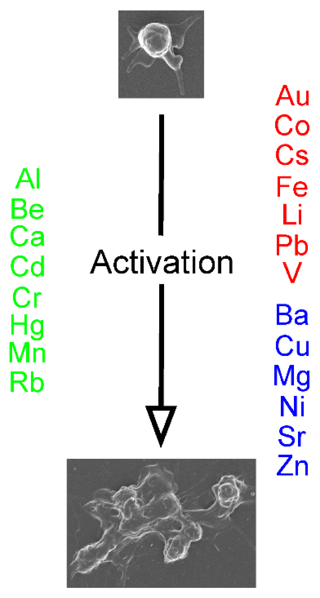 Ijms 24 03302 g002 Ijms 24 03302 g002