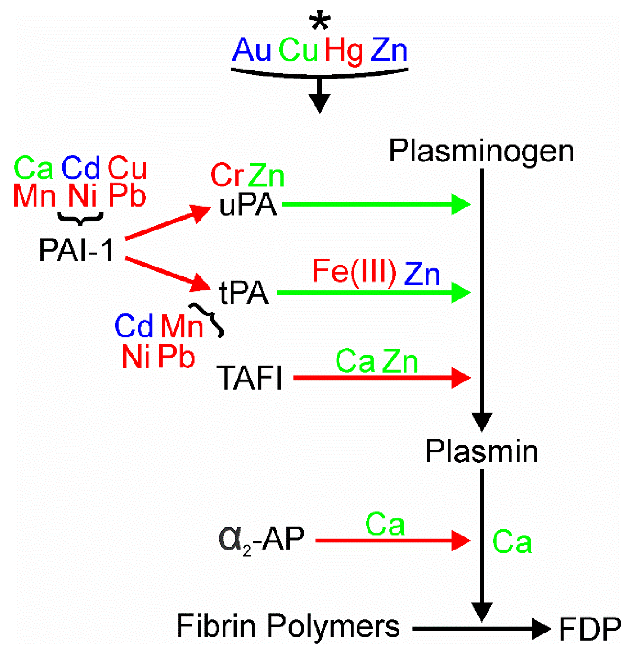 Ijms 24 03302 g004 Ijms 24 03302 g004