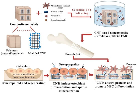 D-CSF-SC-23 Study Tool