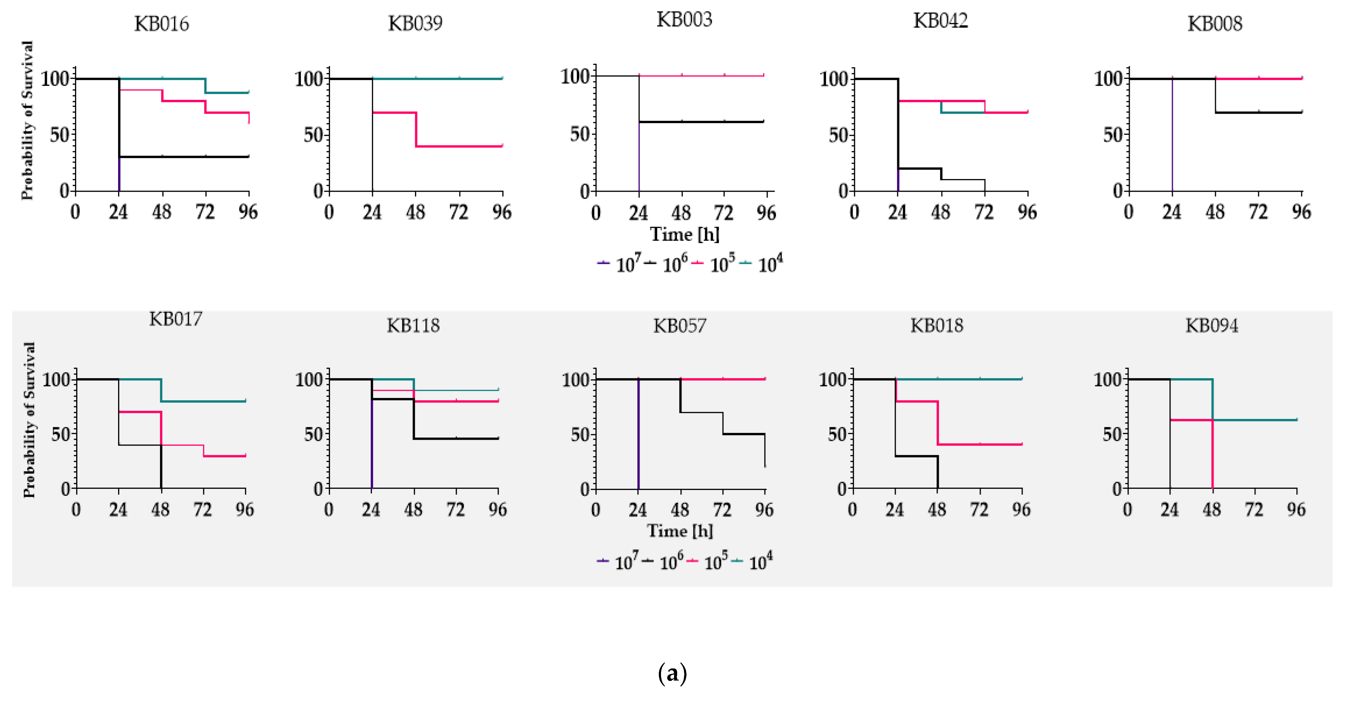 Ijms 24 03315 g005a Ijms 24 03315 g005a