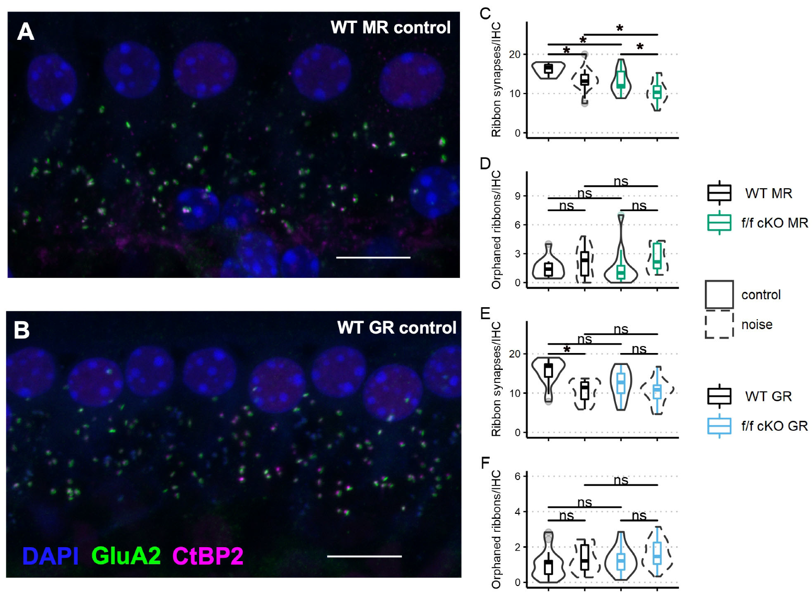 Ijms 24 03320 g007 Ijms 24 03320 g007