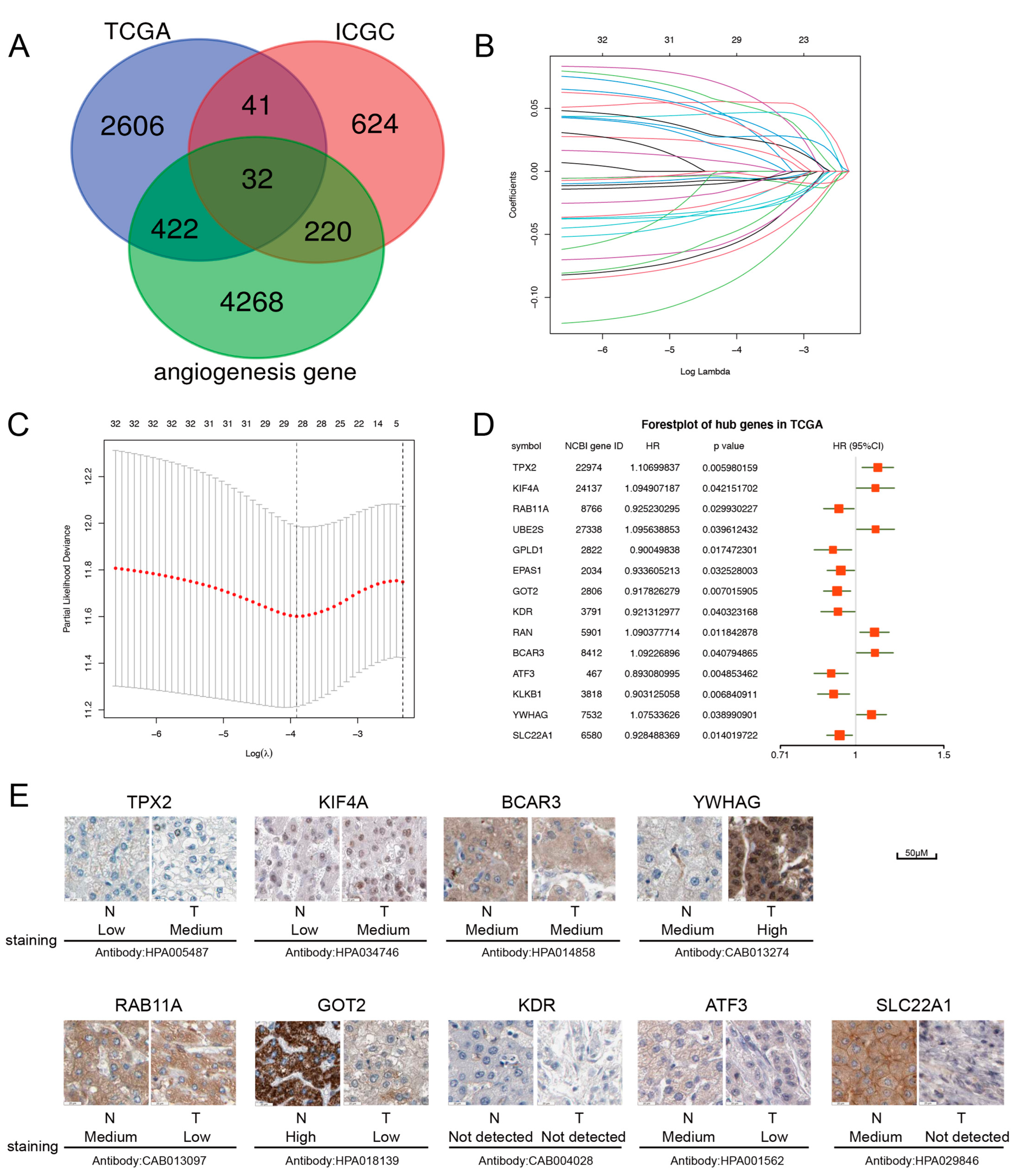 Ijms 24 03324 g001 Ijms 24 03324 g001