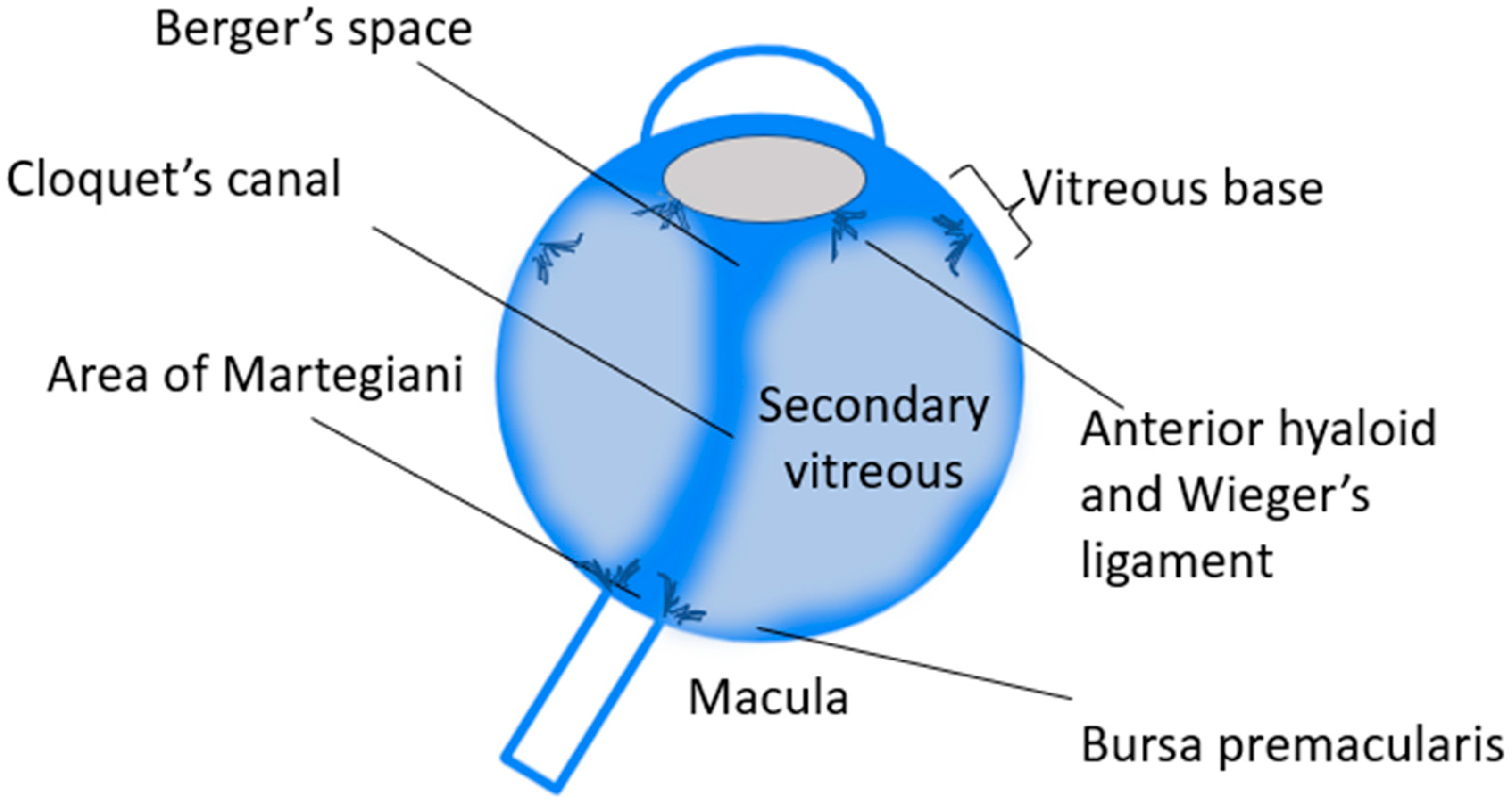 Ijms 24 03342 g002 Ijms 24 03342 g002