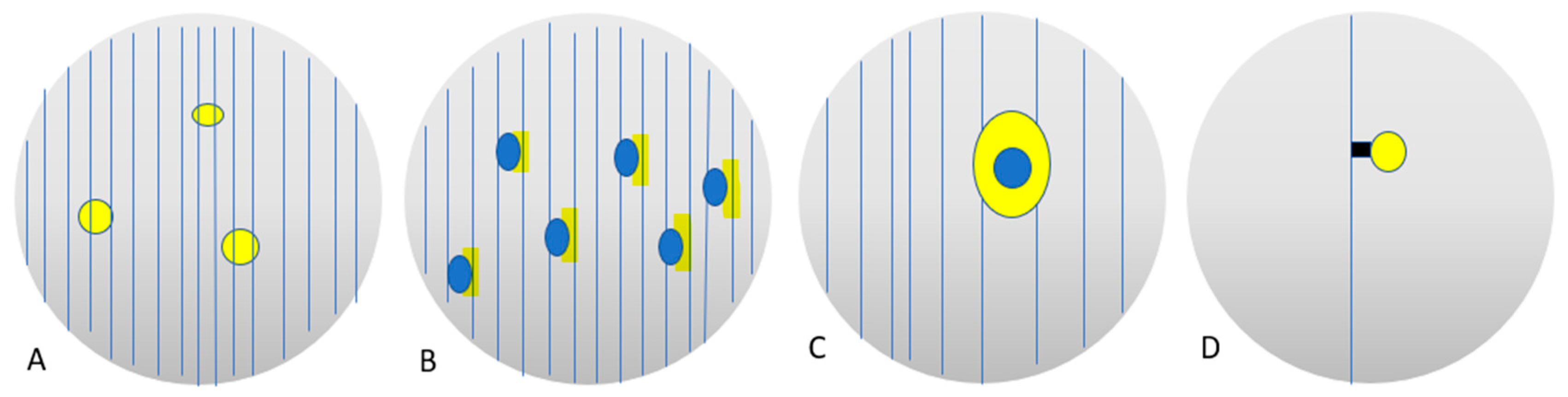 Ijms 24 03342 g006 Ijms 24 03342 g006